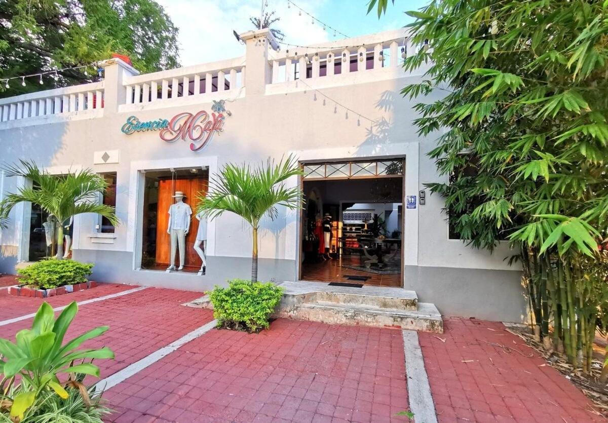 Loft 37 PASEO MONTEJO view 2