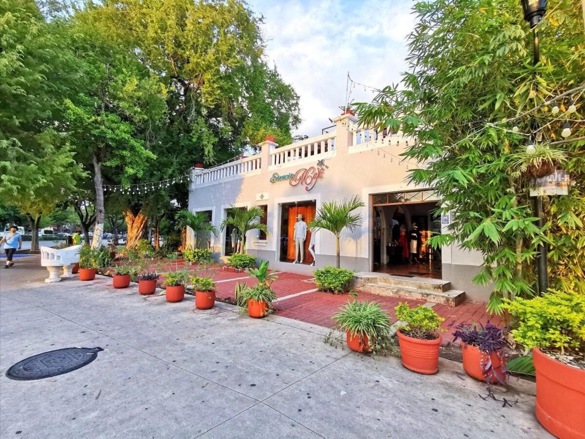 Loft 37 PASEO MONTEJO view 3