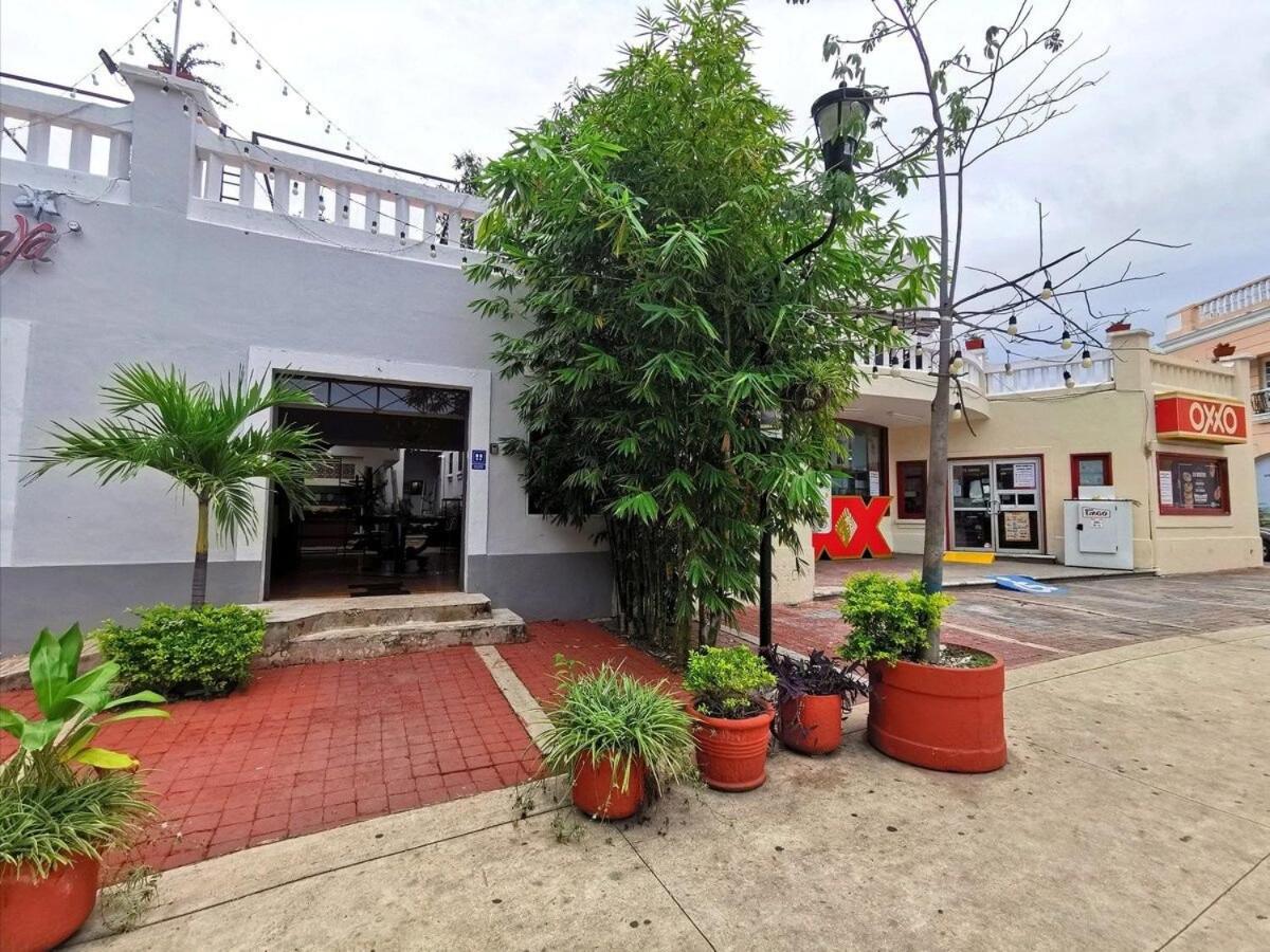 Loft 37 PASEO MONTEJO view 5