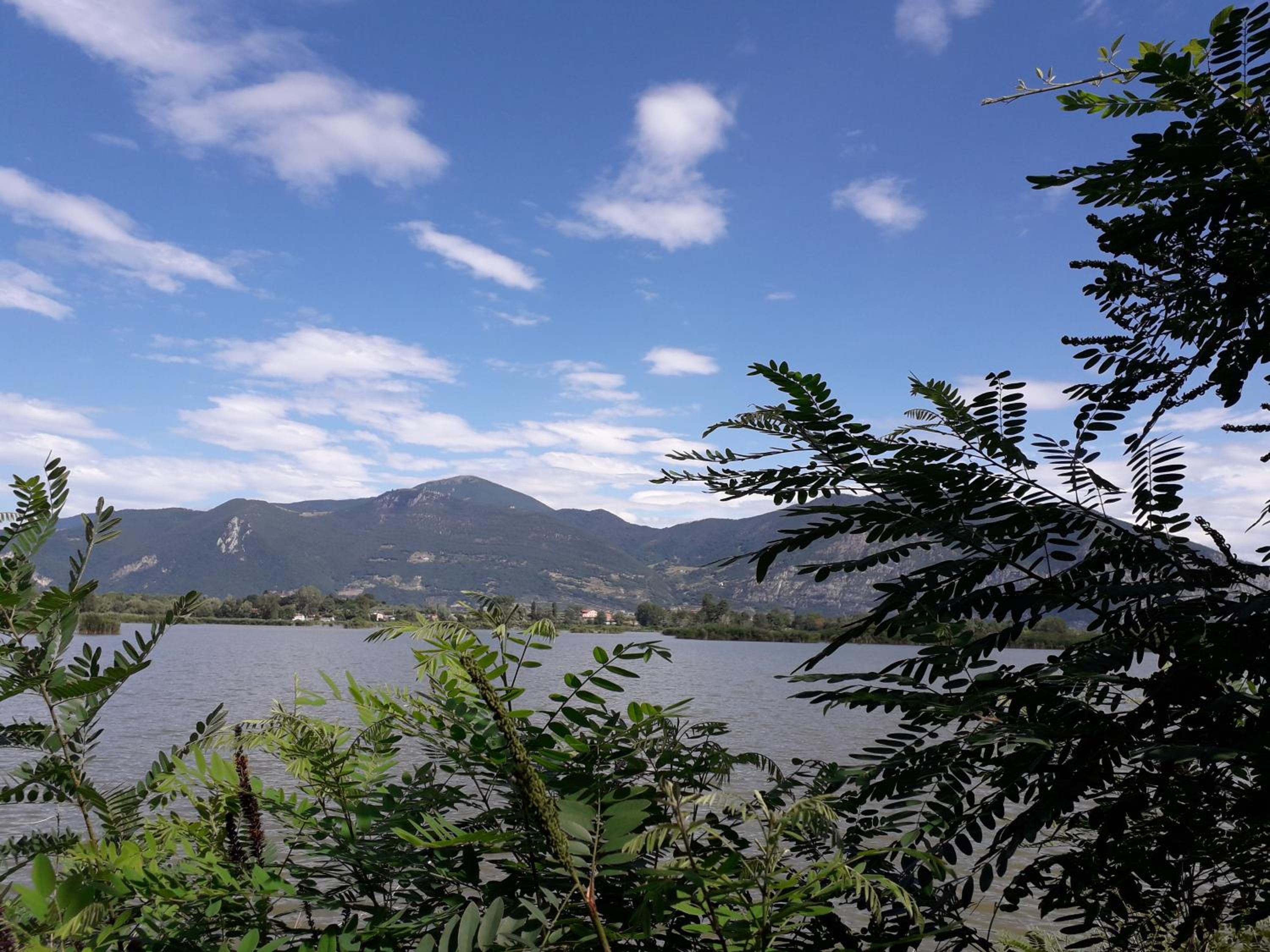 Photo 26