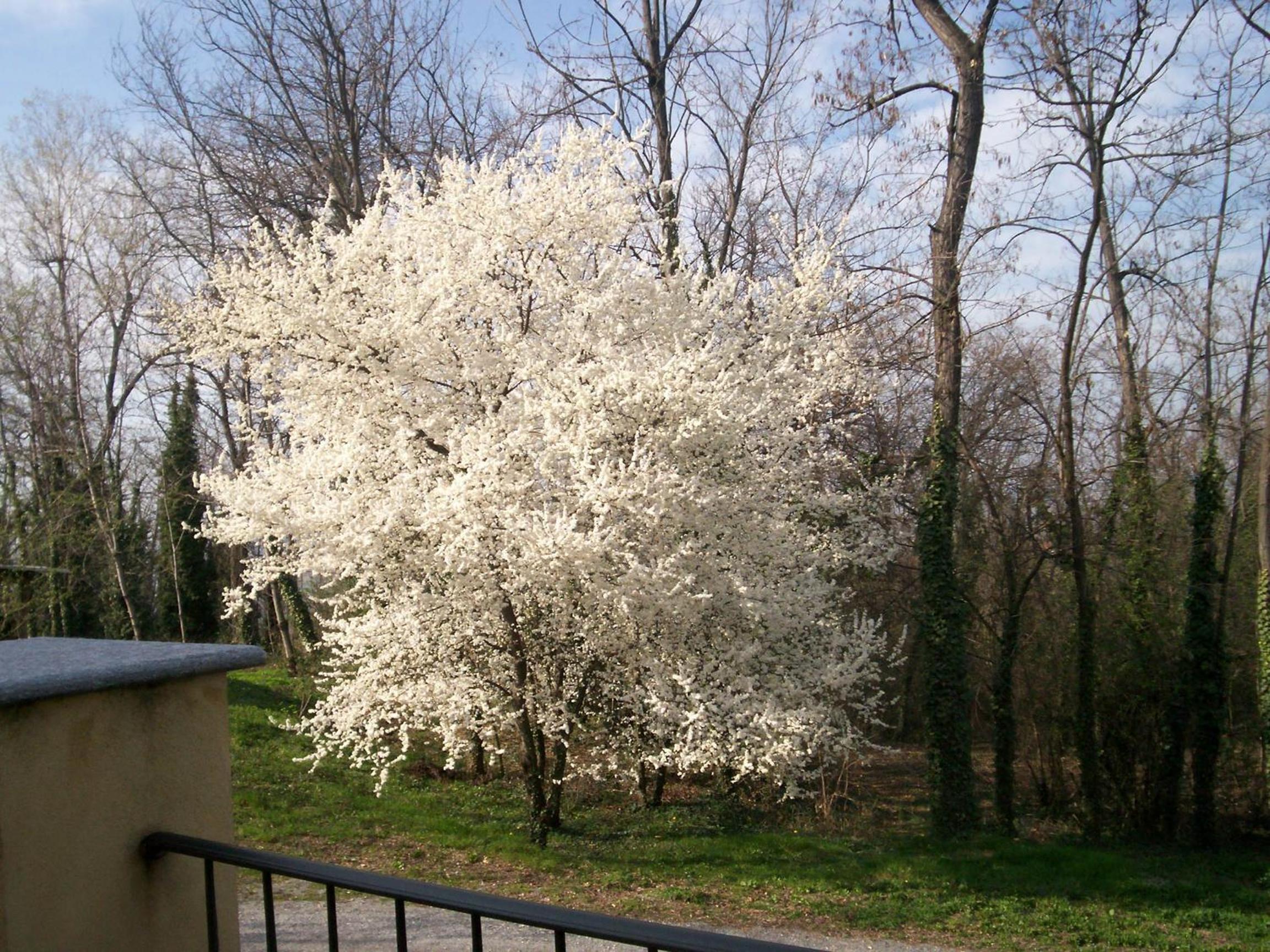Photo 47