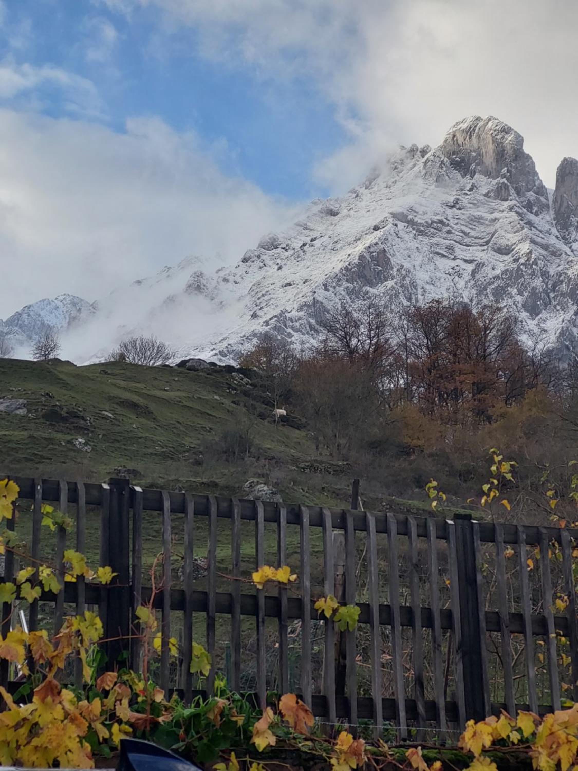 Apartamentos Nevandi