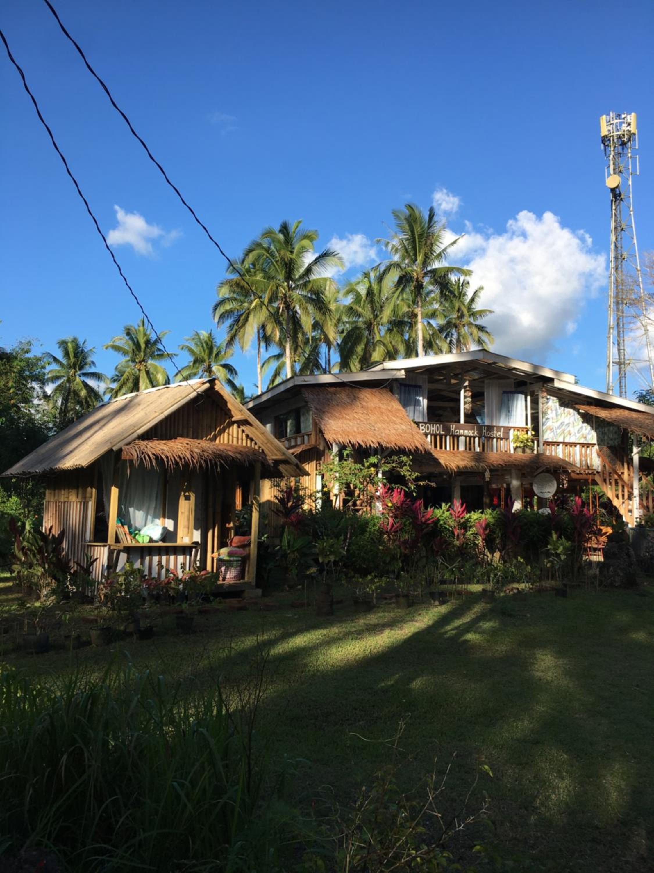 Bohol Hammock Hostel