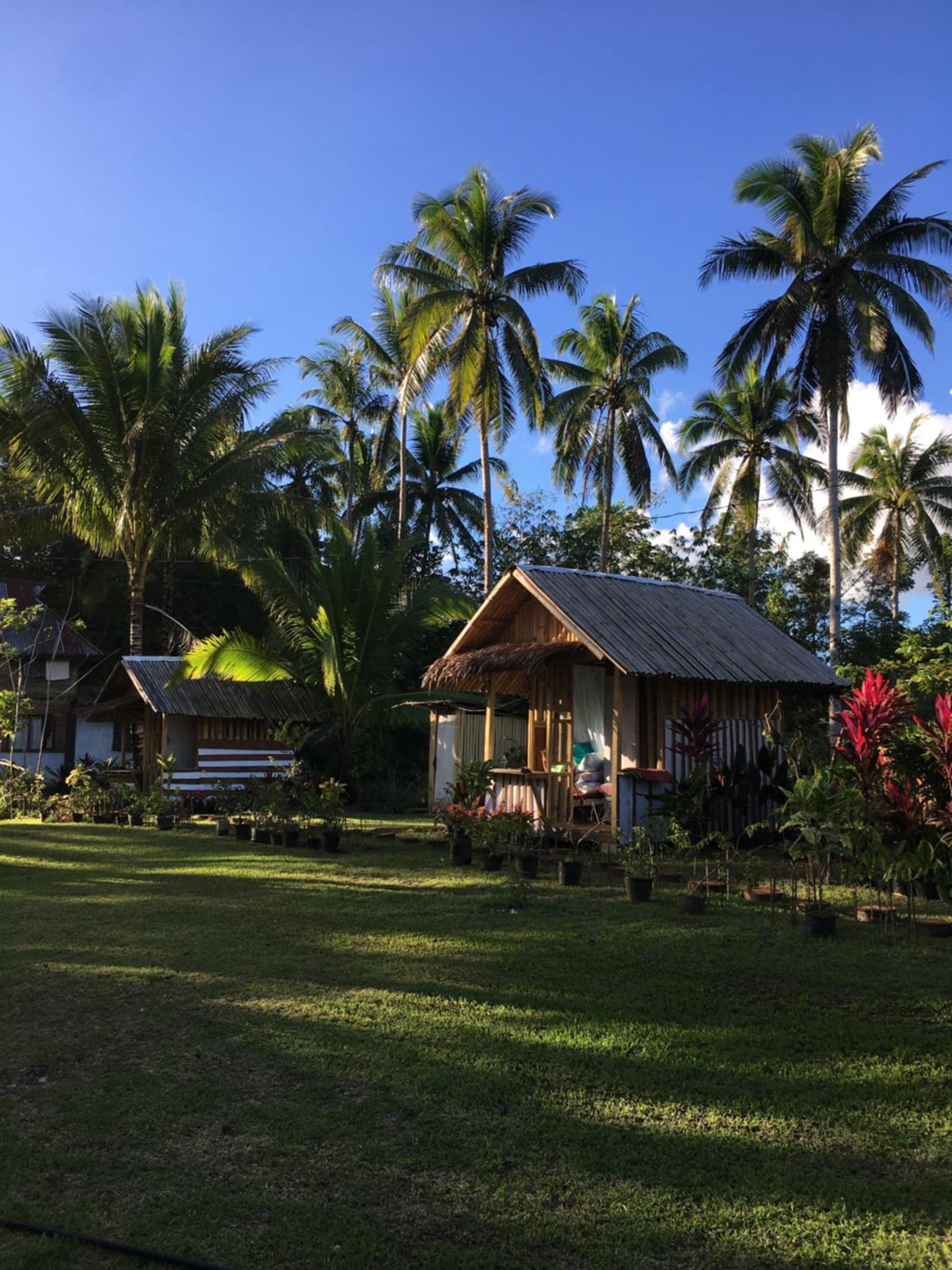Bohol Hammock Hostel
