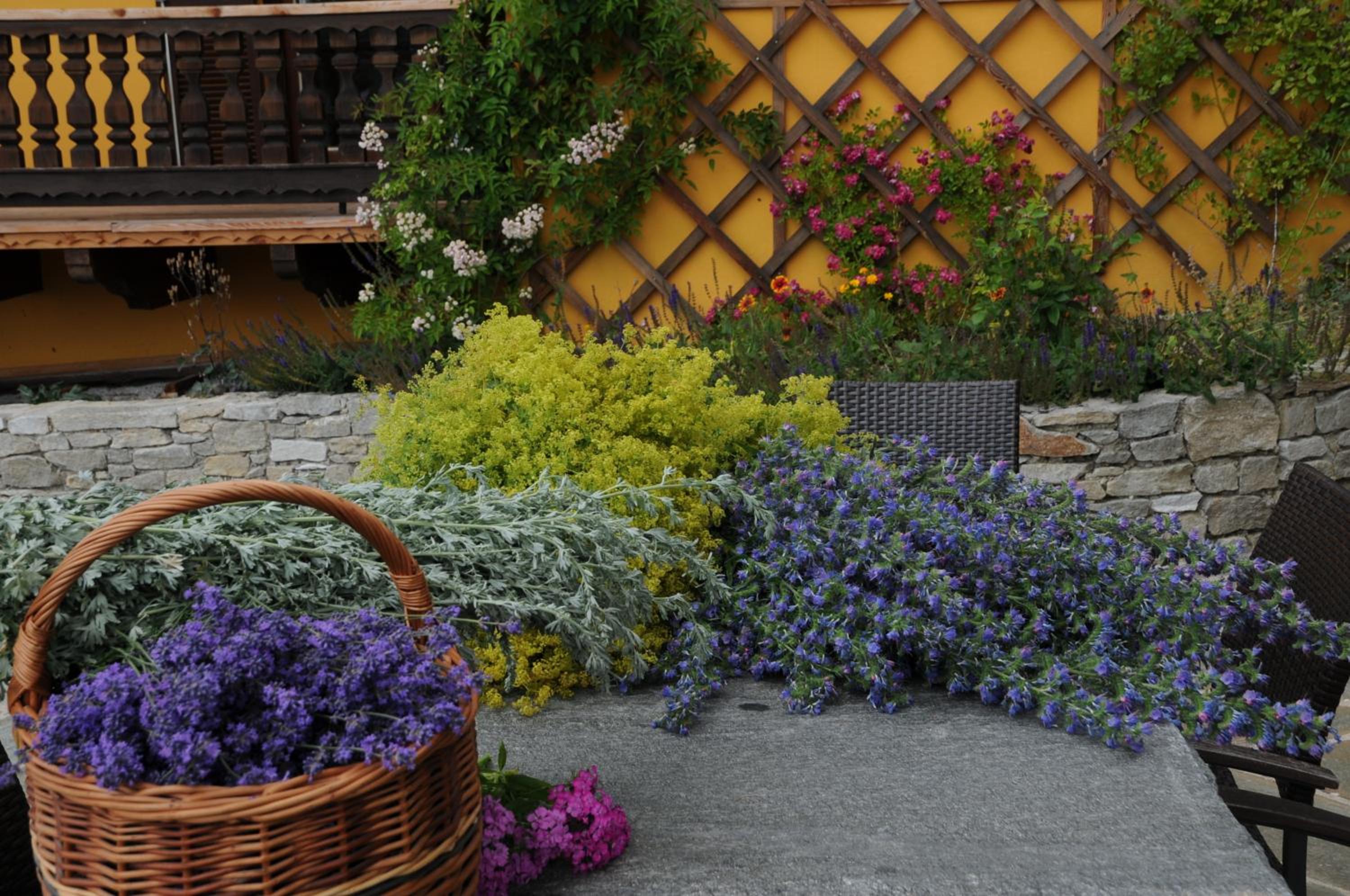 Sulamith Ferienhaus mit Garten