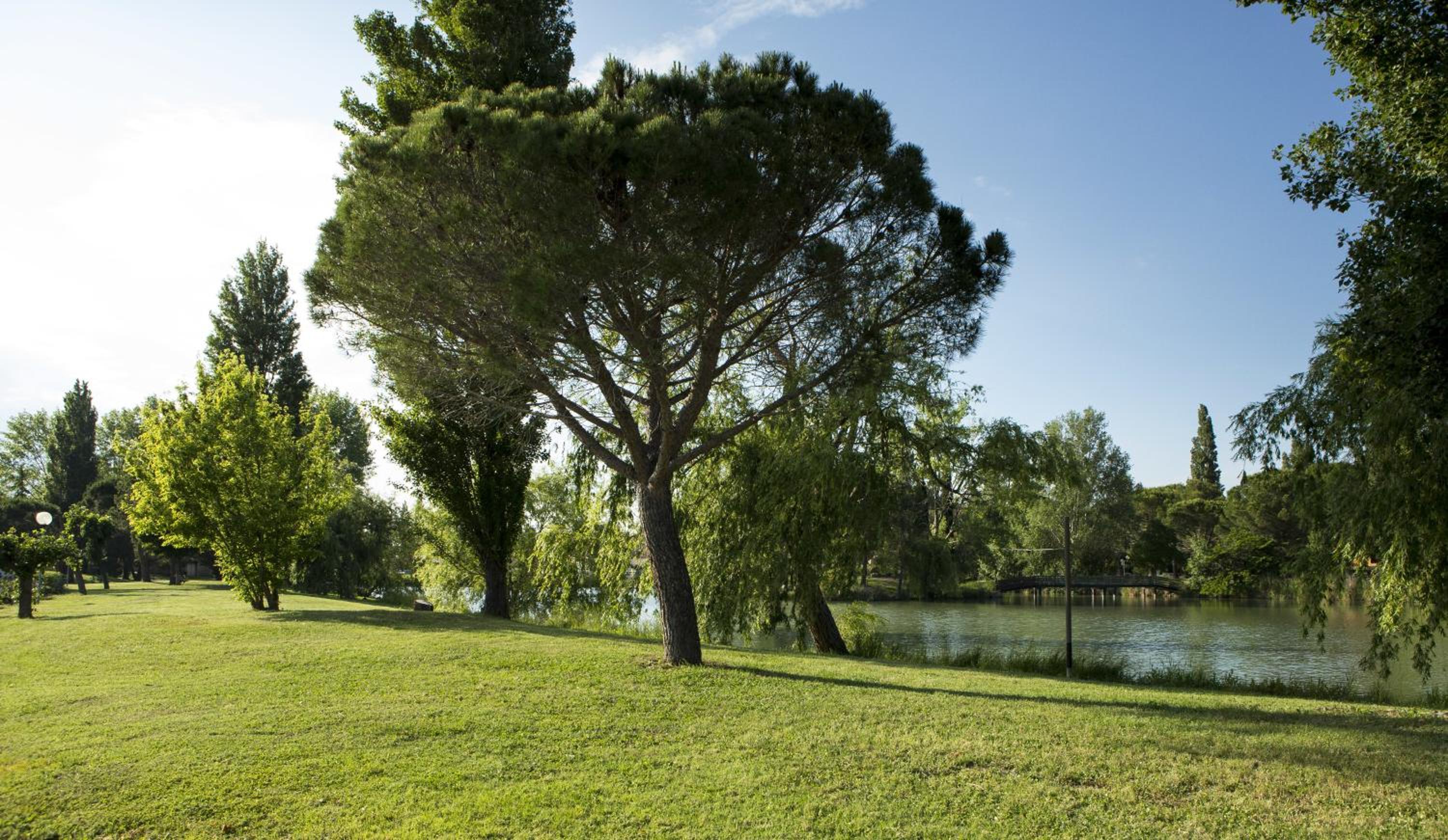 Arles Vacations - SOWELL HOTELS L'Olivier - Property Image 50