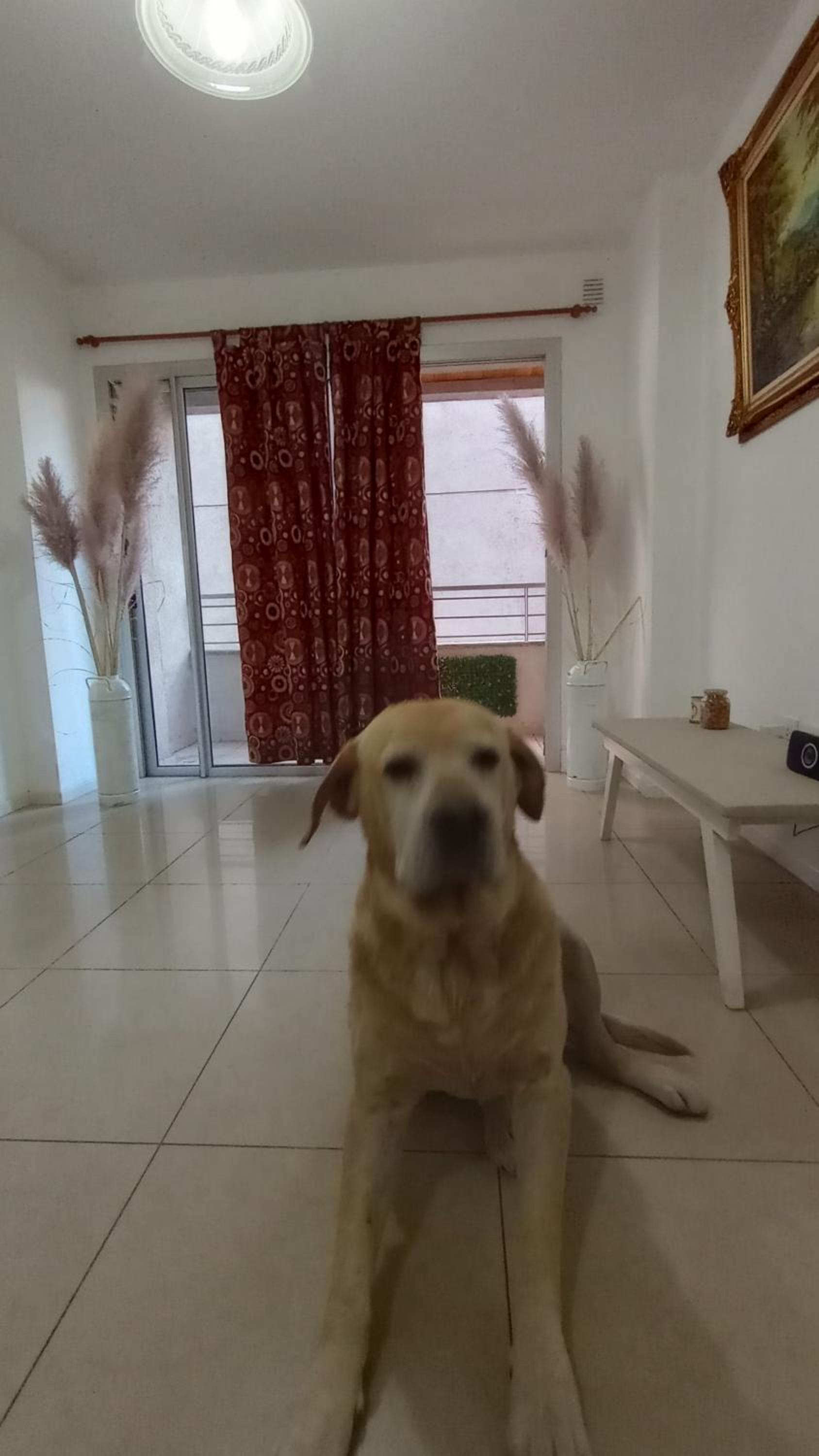human