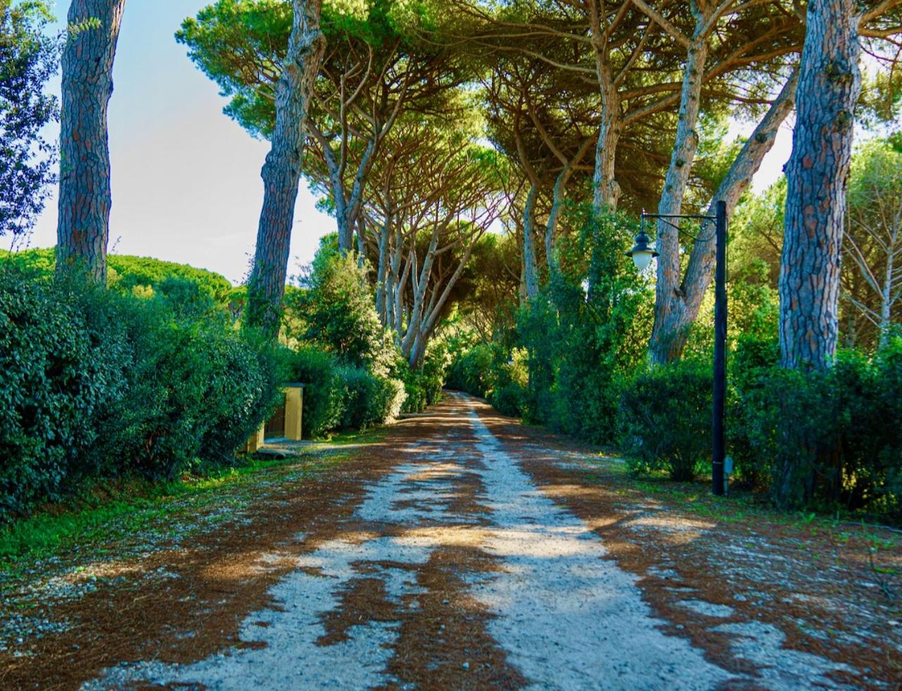 Ville Di Villa Biserno