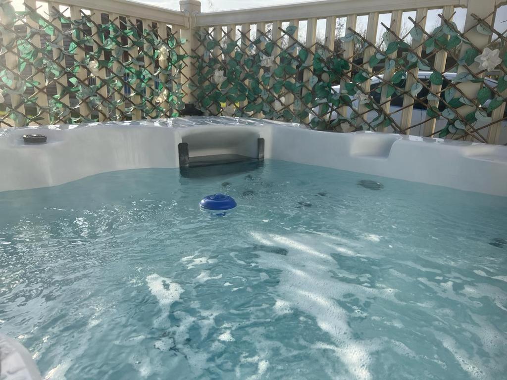 Daisy Lodge with Hot Tub view 3