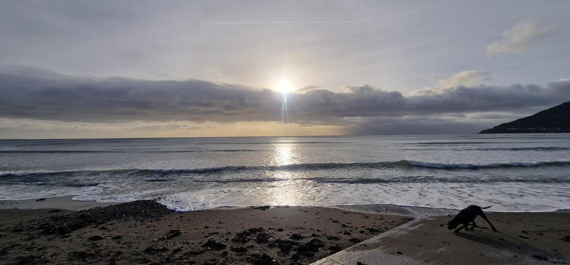 Photo 44