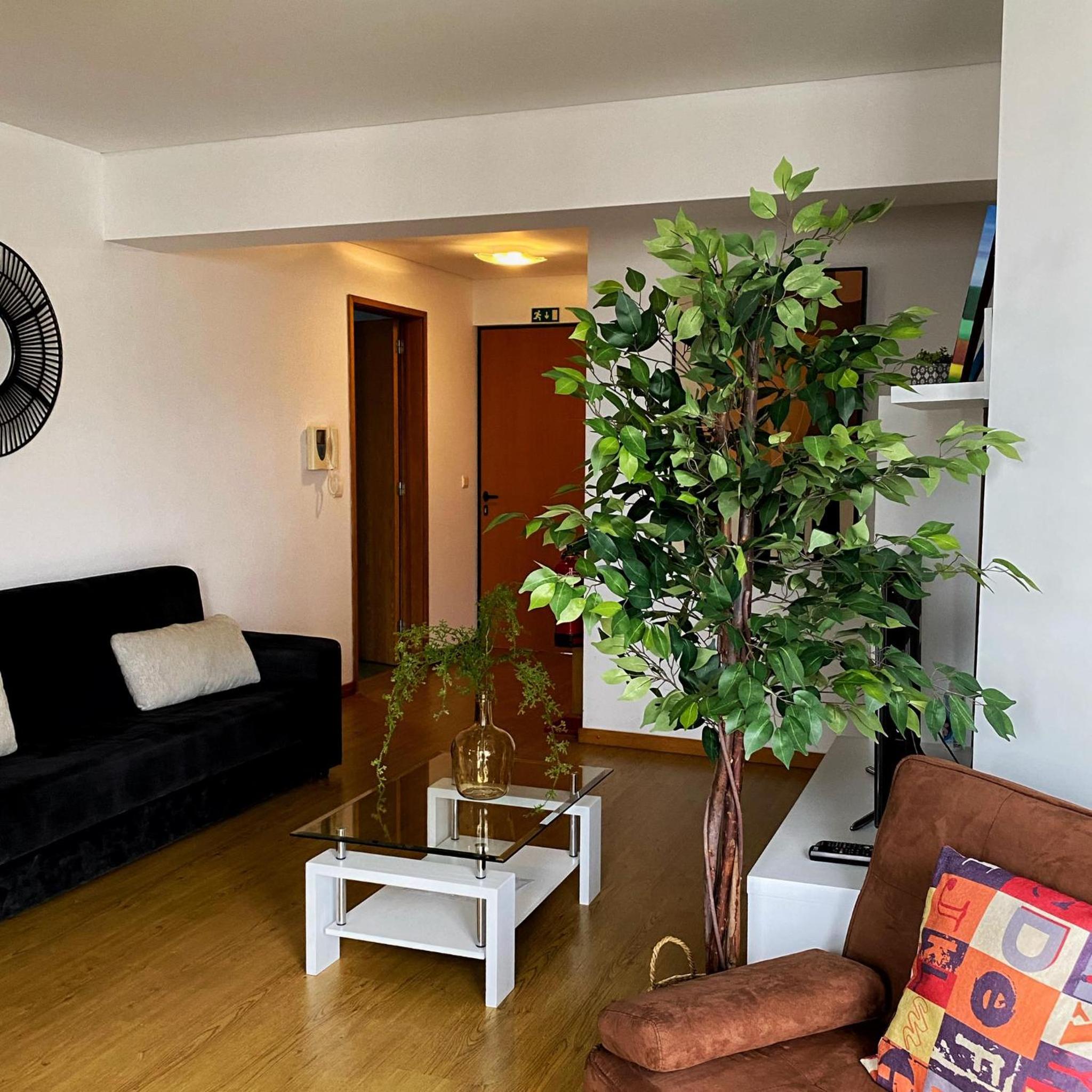 Apartamento Central Antero de Quental view 5