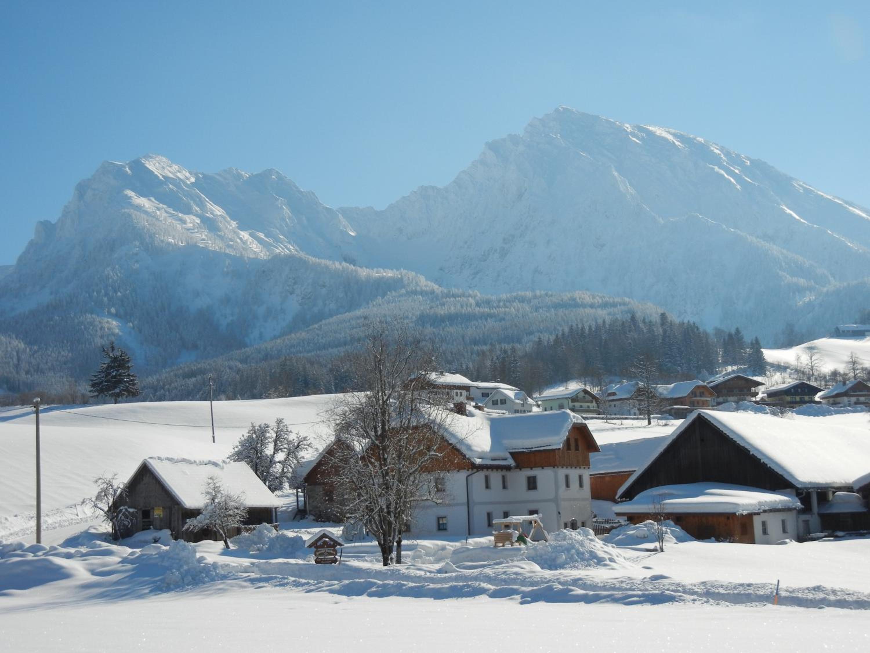 Bio-Urlaubshof Dansbach