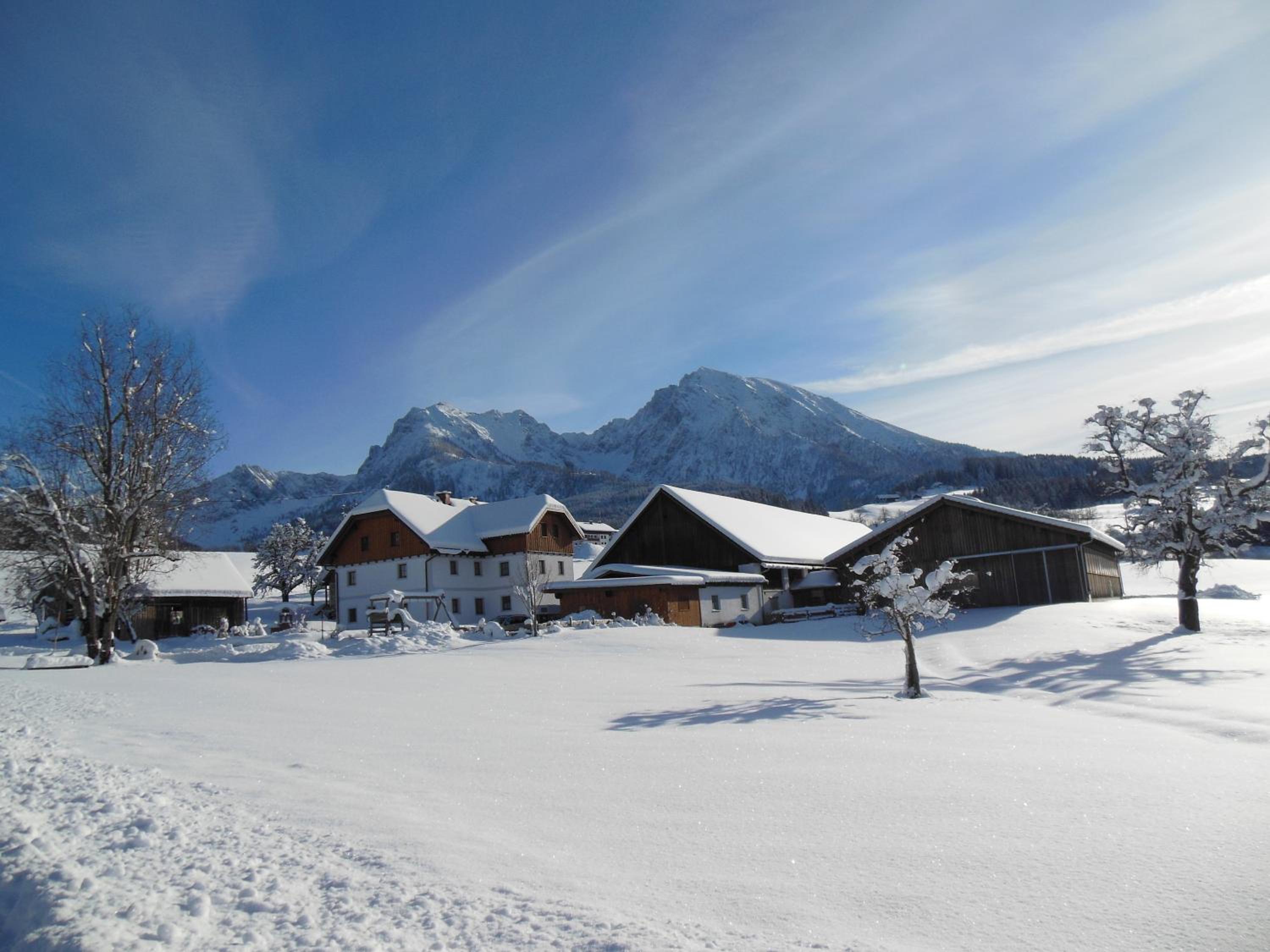 Bio-Urlaubshof Dansbach