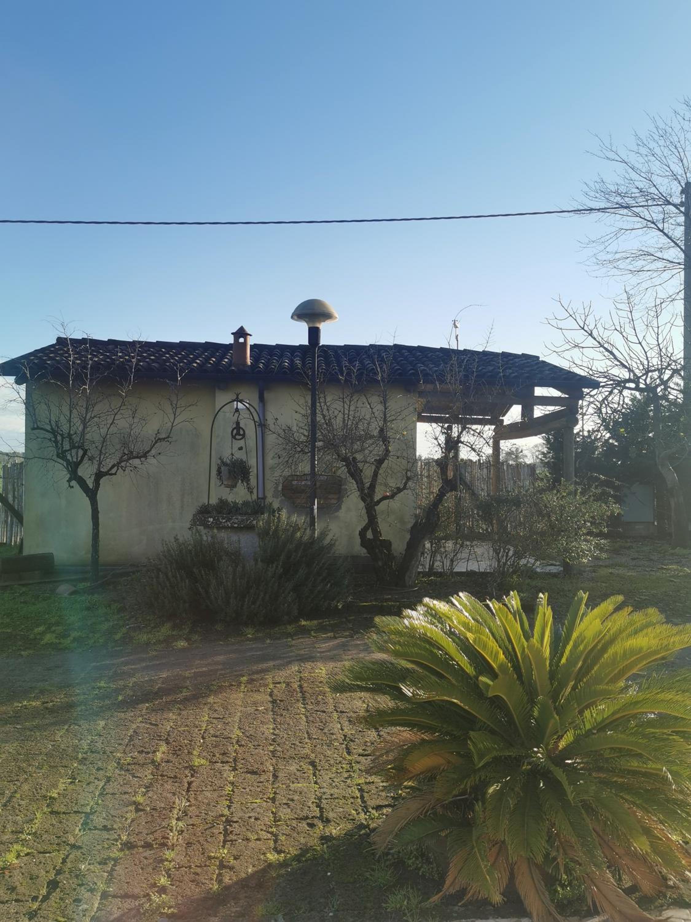 Photo 20
