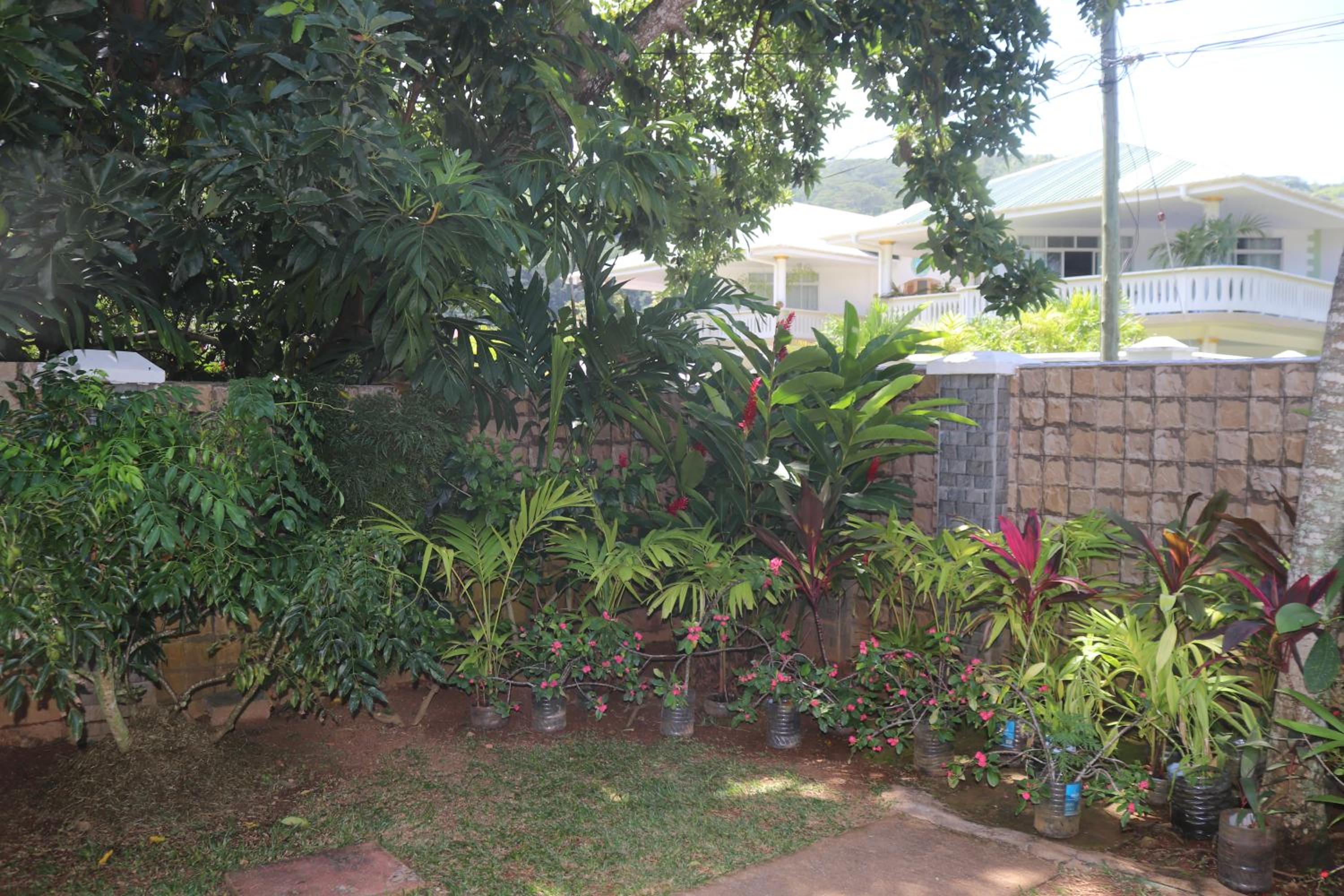Photo 23