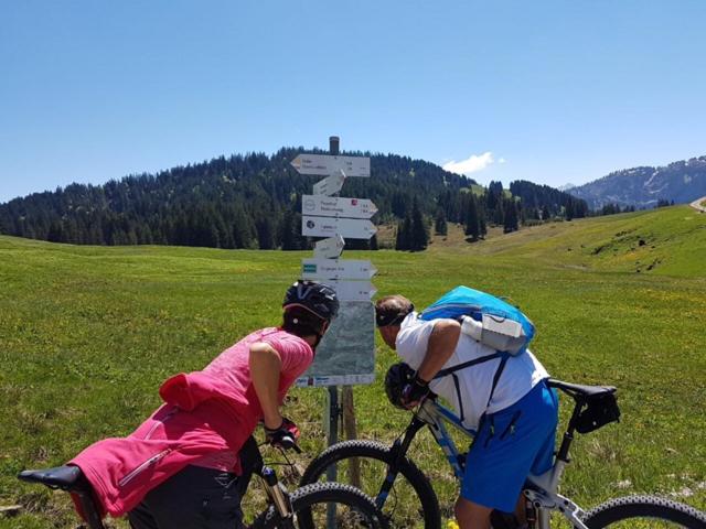 Bergesgrün