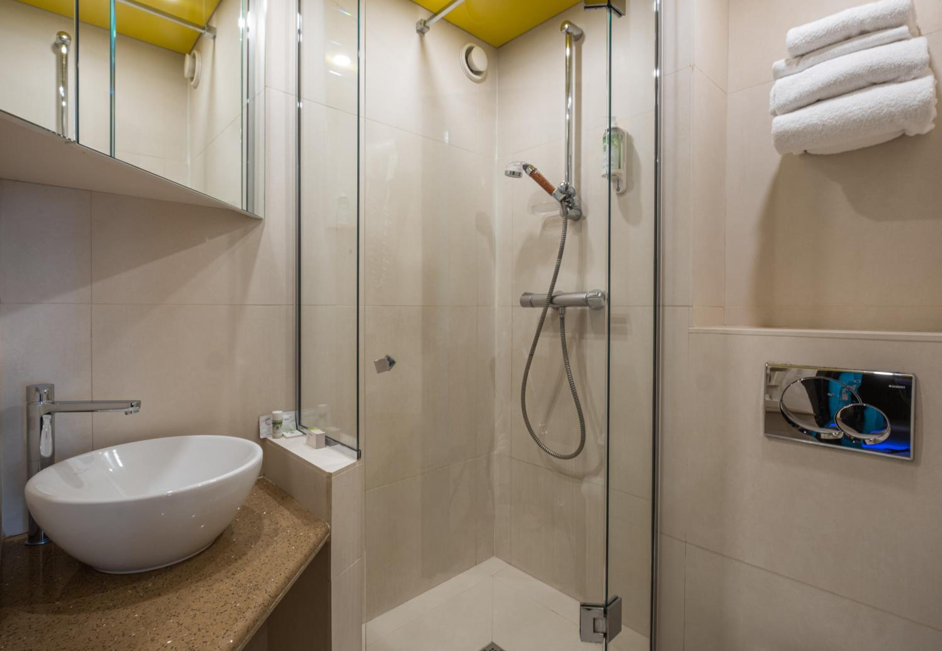 Hôtel Du Vieux Saule 2