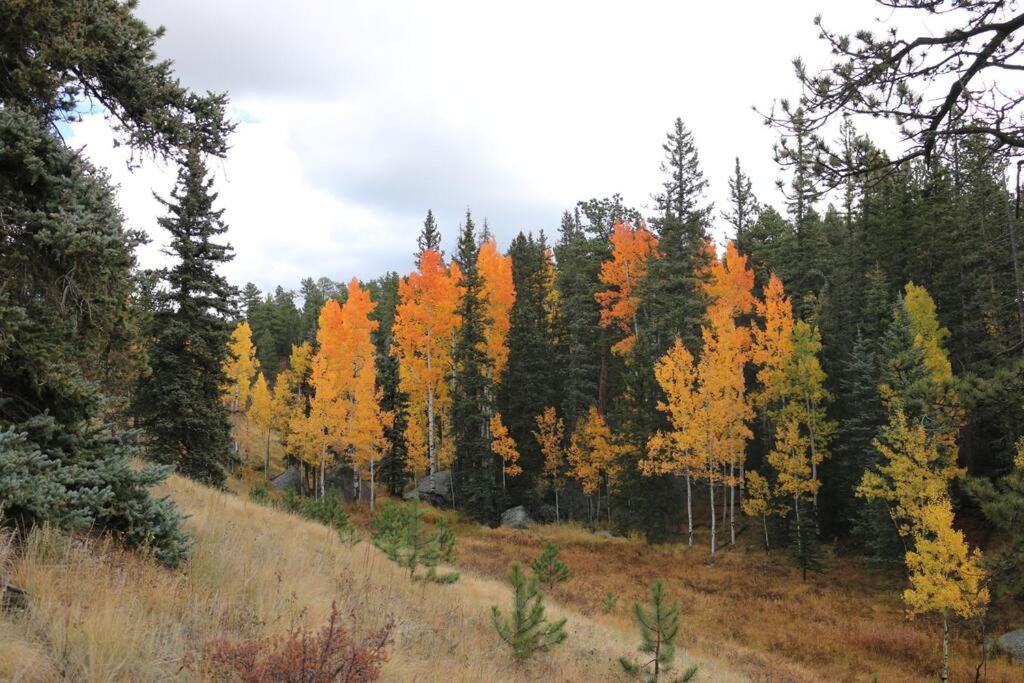 Photo 25