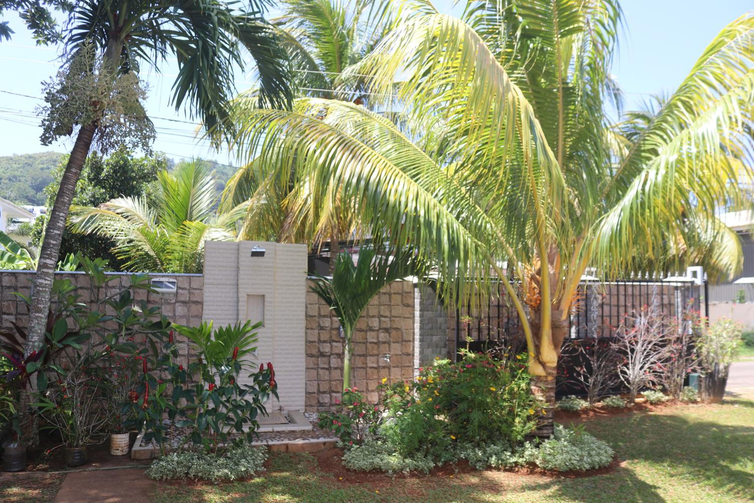 Chez Augustine photo 5