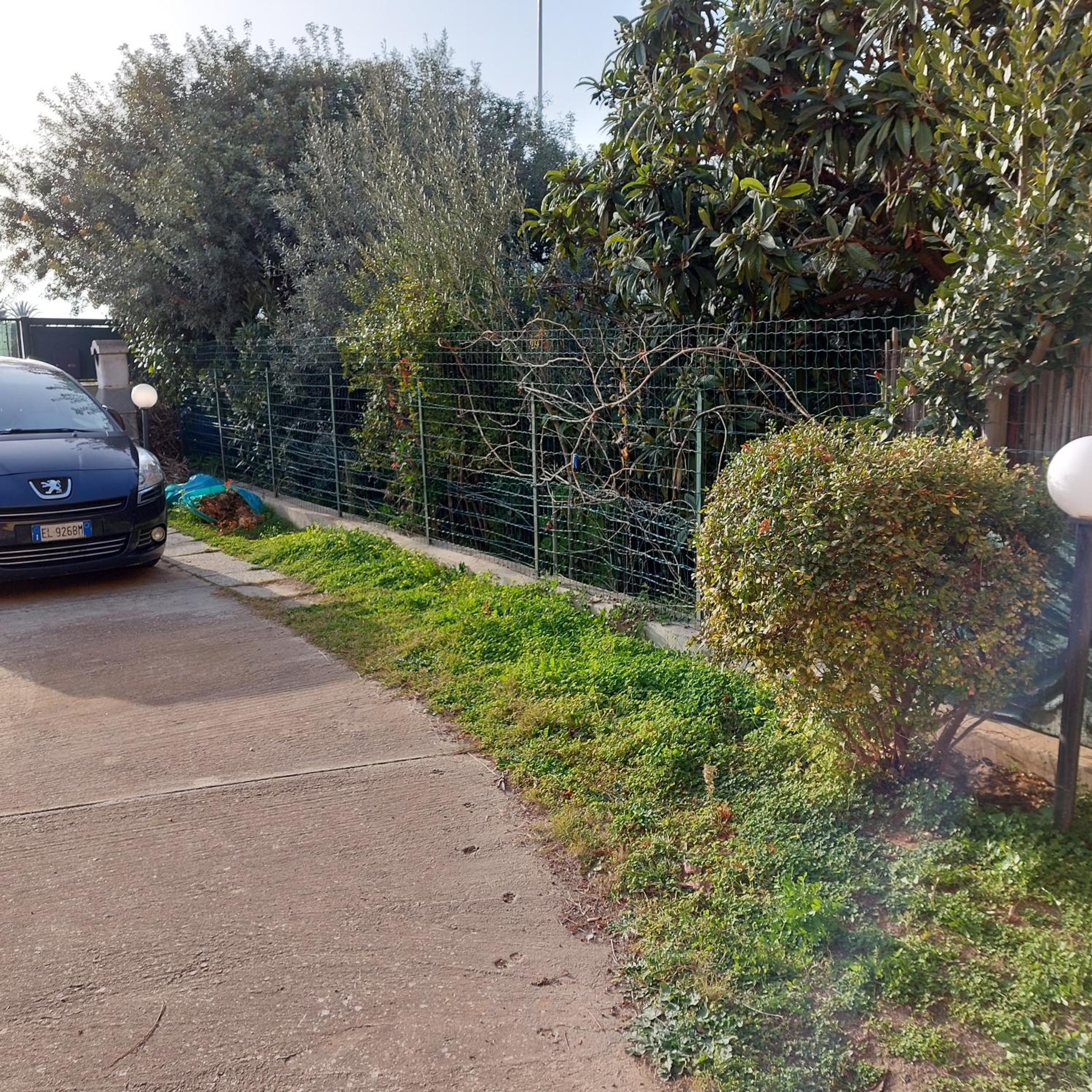 parking