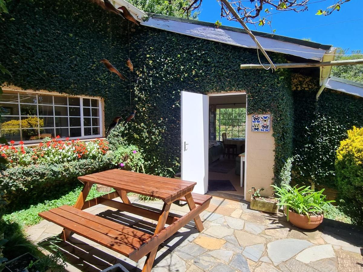 Yellowwood Cottage view 4