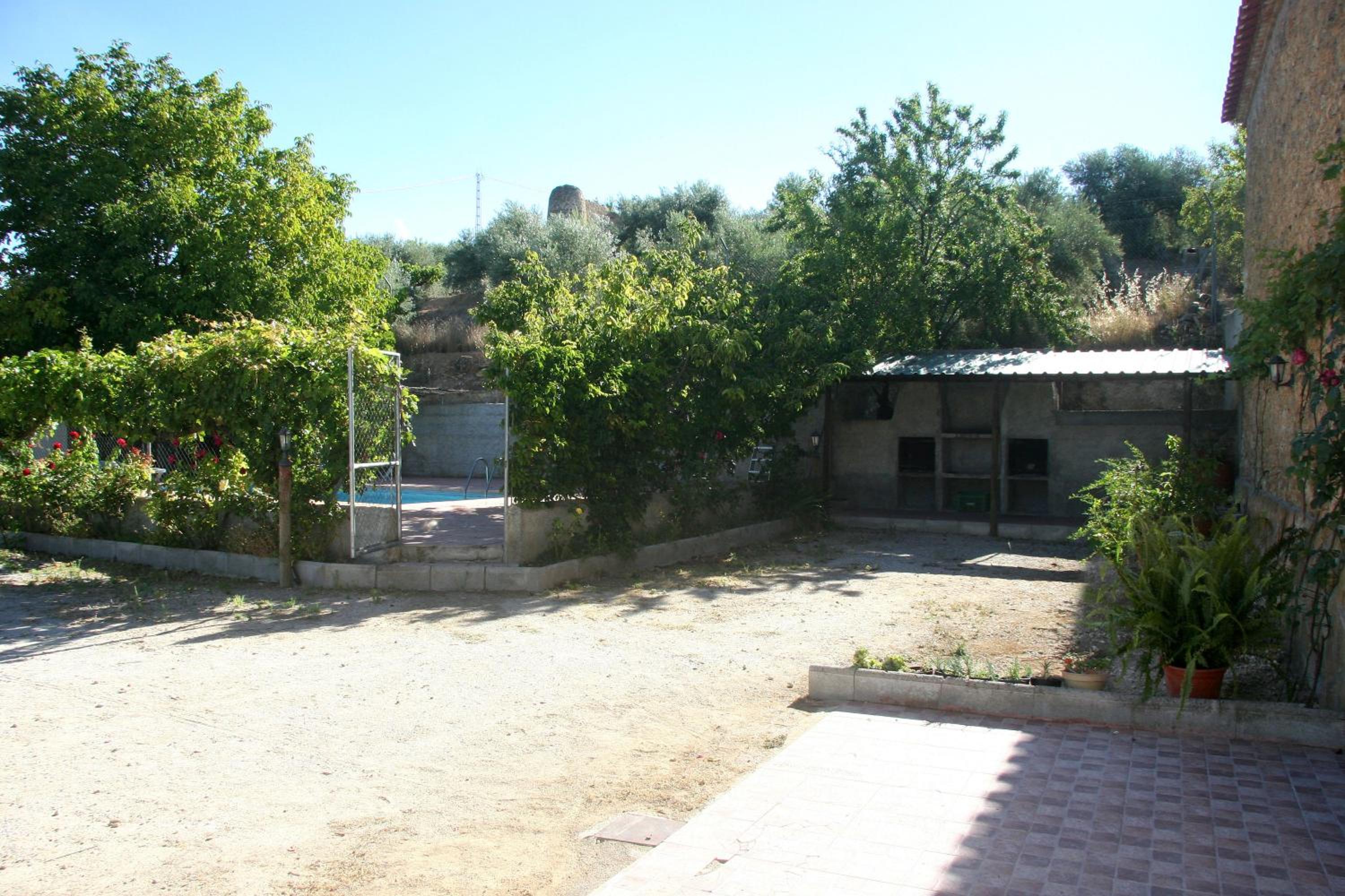 Photo 6