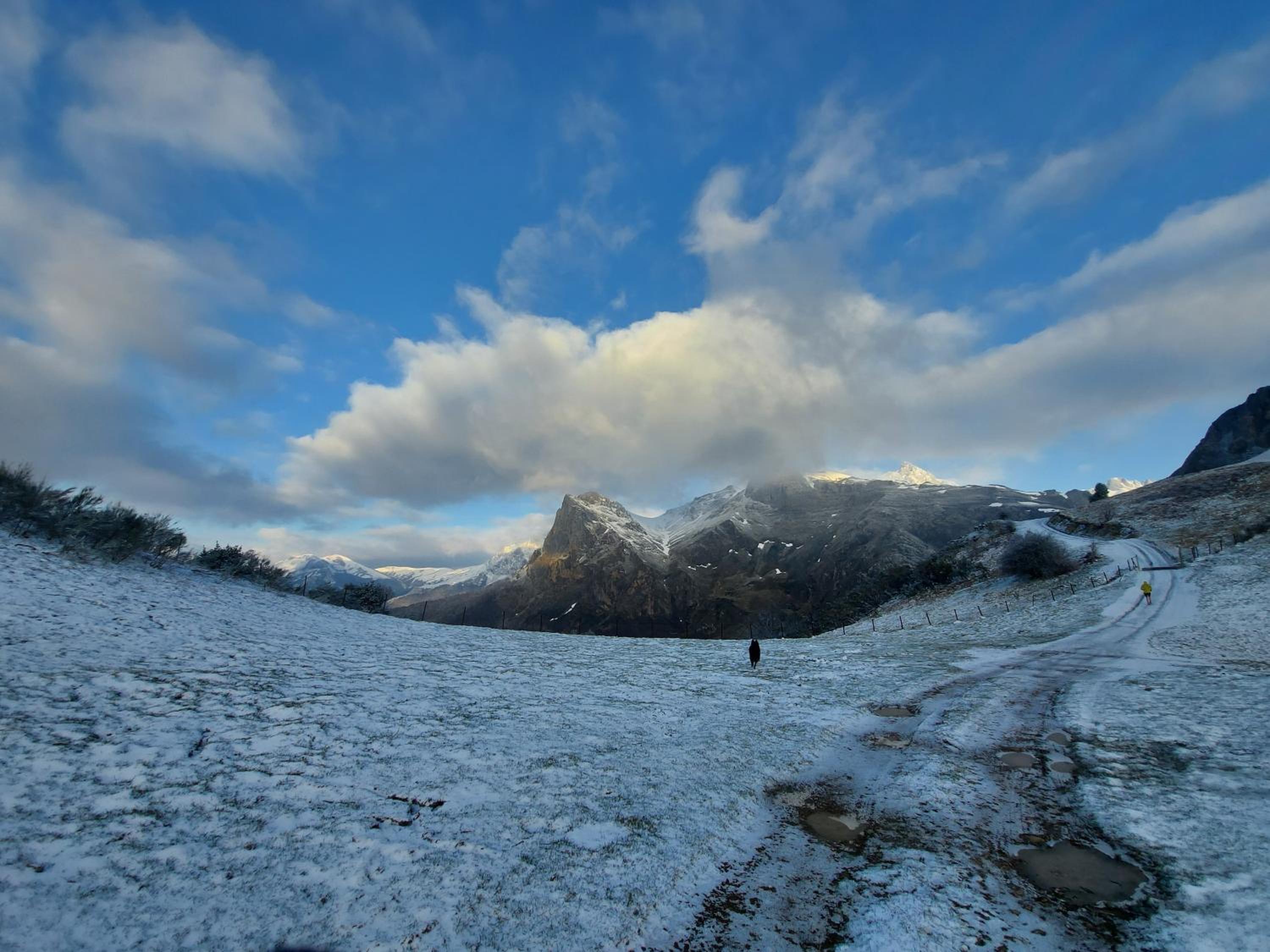Apartamentos Nevandi