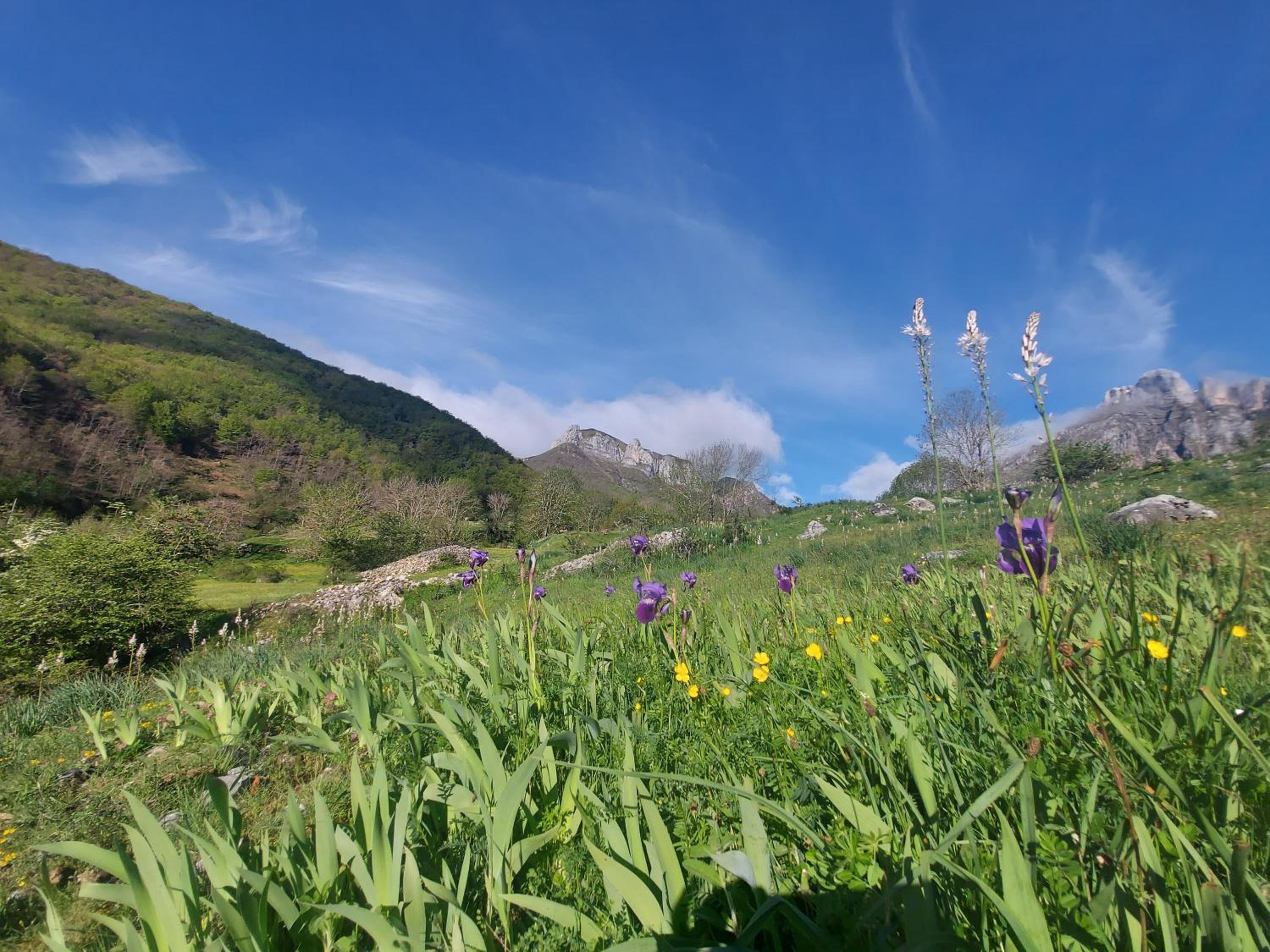 Apartamentos Nevandi