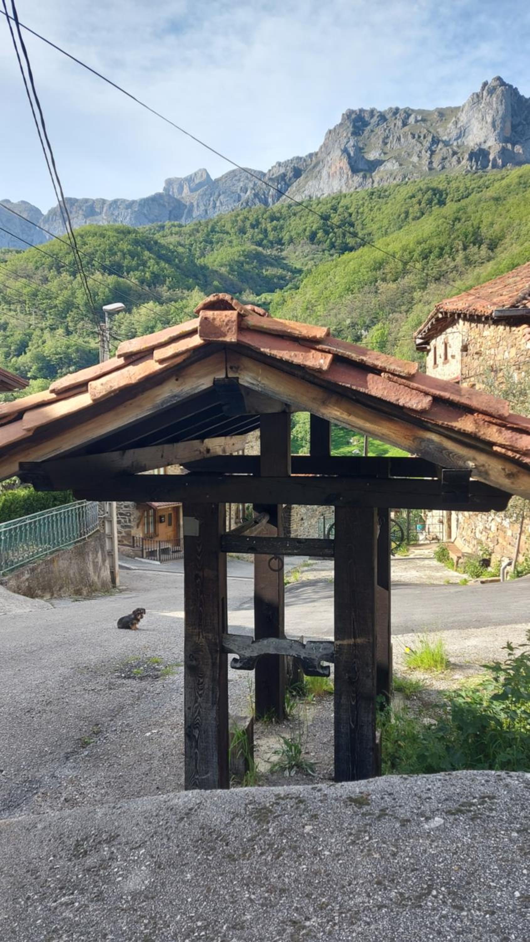 Apartamentos Nevandi