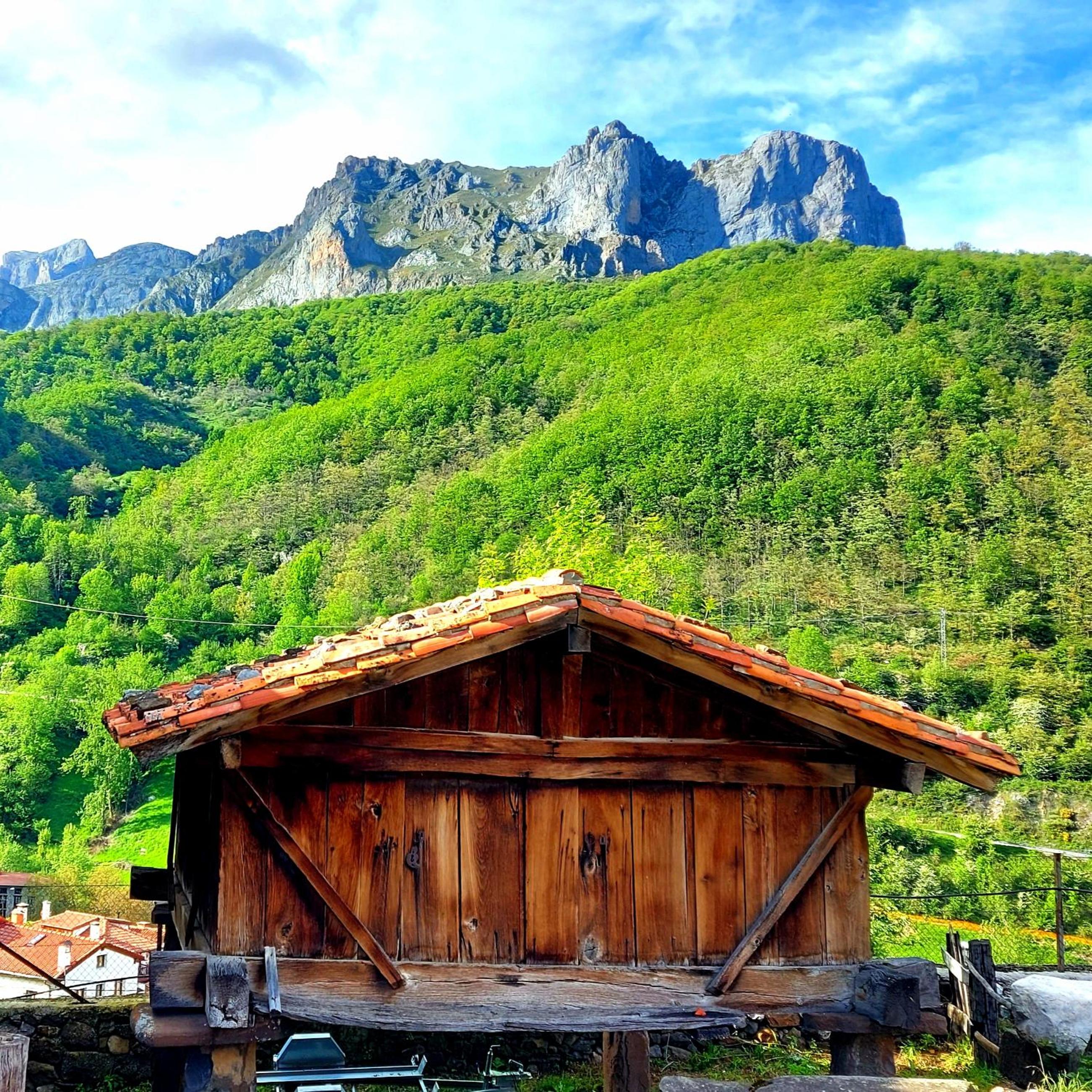 Apartamentos Nevandi