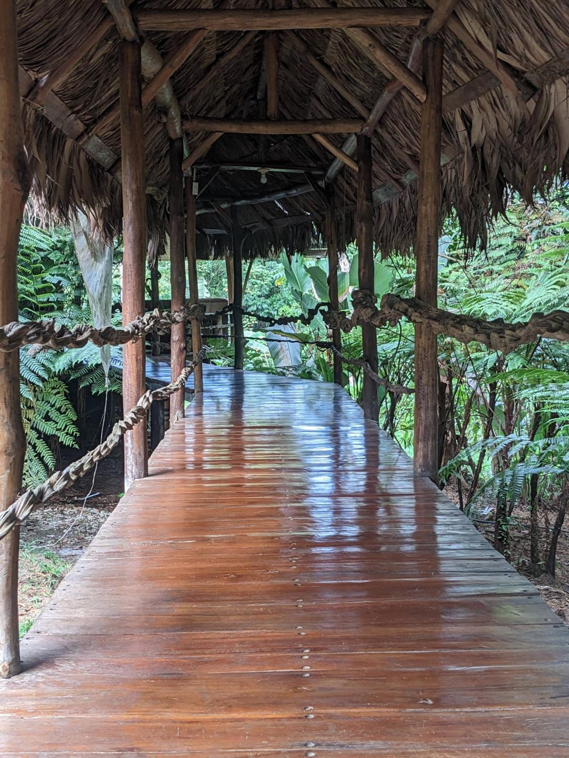 Corcovado Mountain House