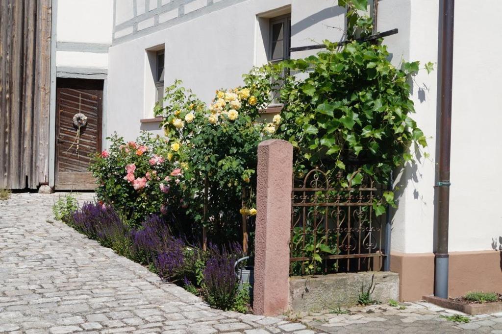 Ferienhaus Ickelhaus 1