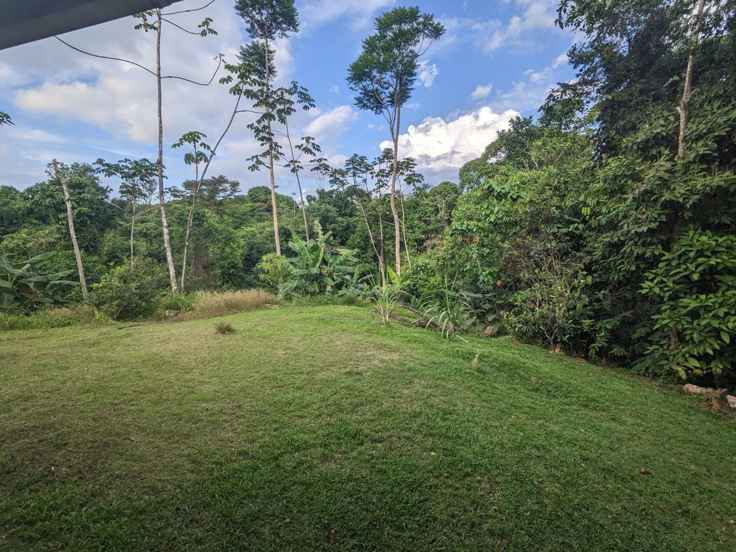 Corcovado Mountain House
