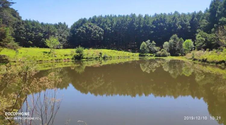 Cabana no Sítio do Sossego - Gramado/São Chico - RS