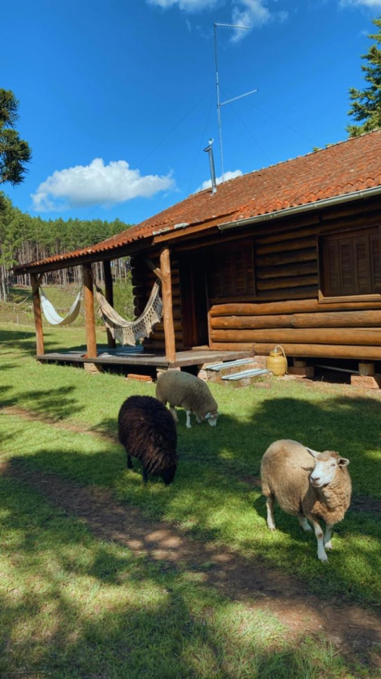 Cabana no Sítio do Sossego - Gramado/São Chico - RS