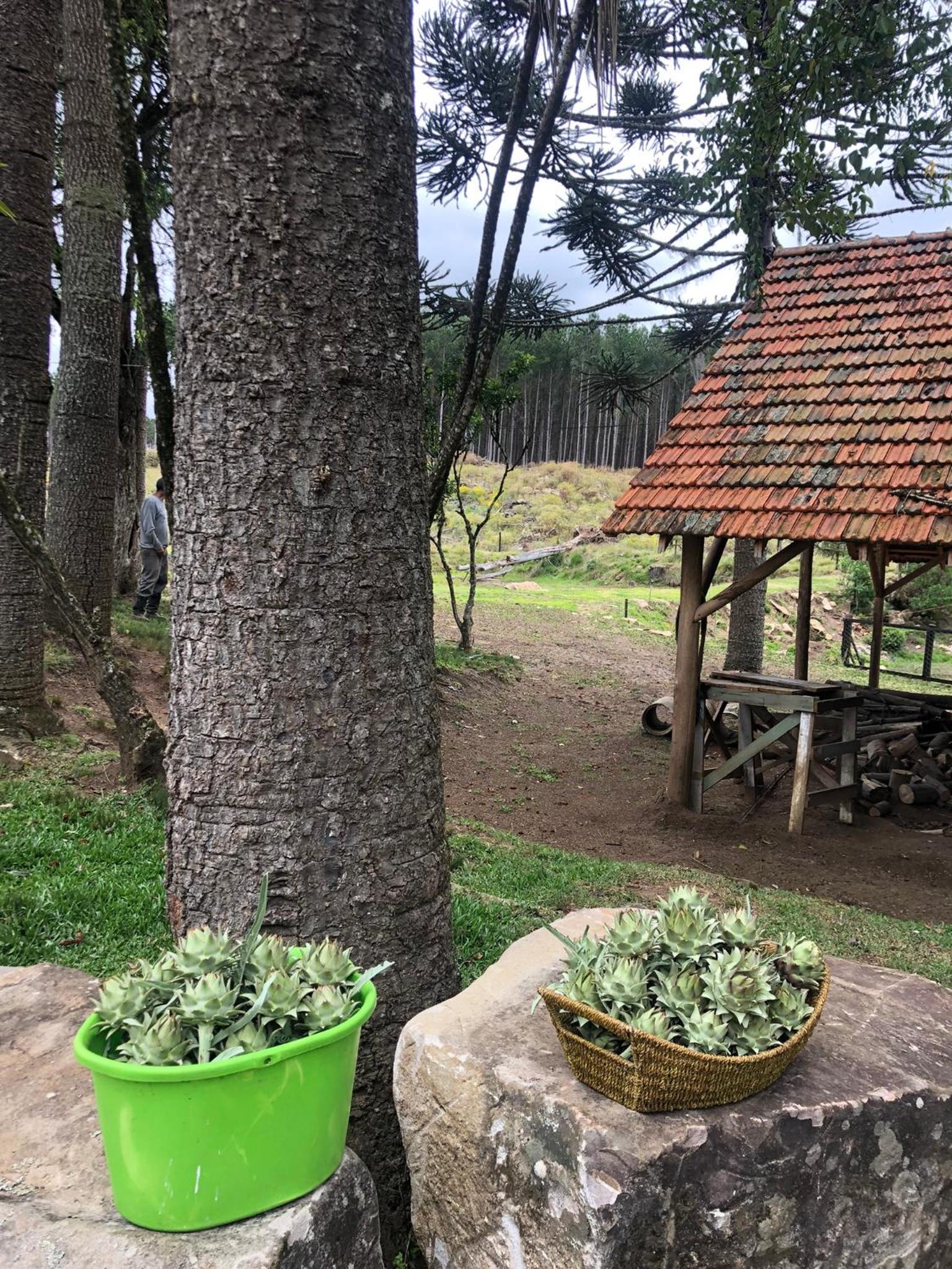 Cabana no Sítio do Sossego - Gramado/São Chico - RS