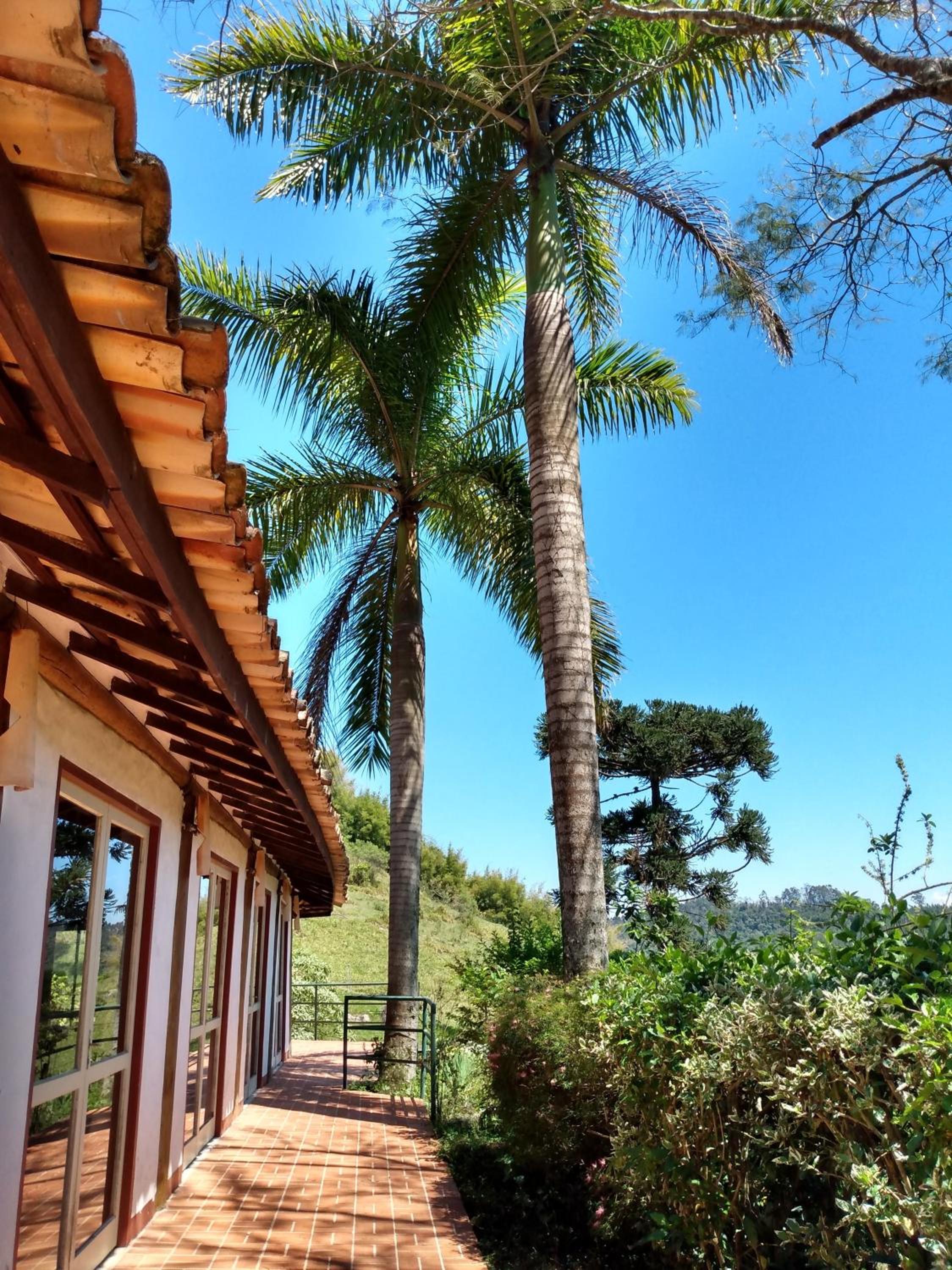 Hotel Fazendão