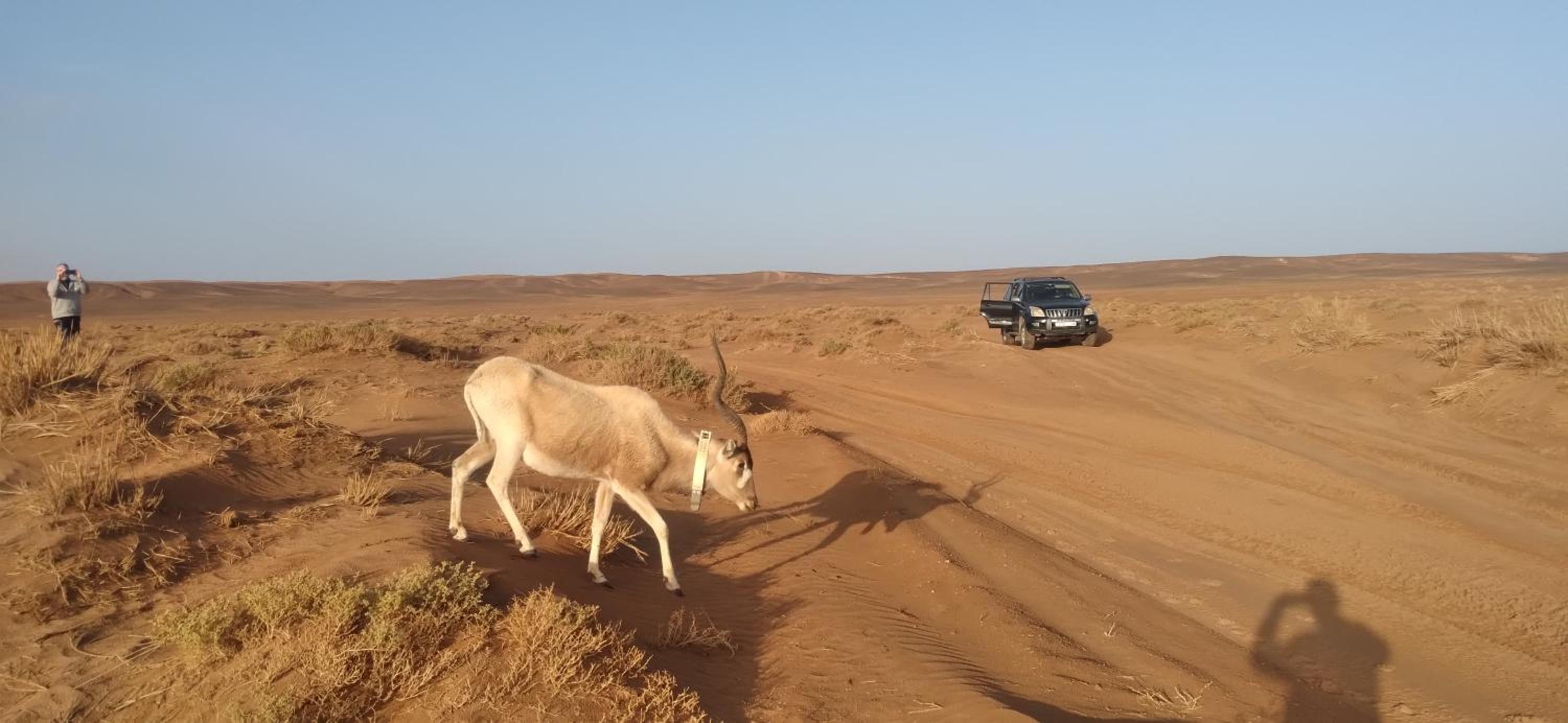 Erg Chigaga Regency Camp