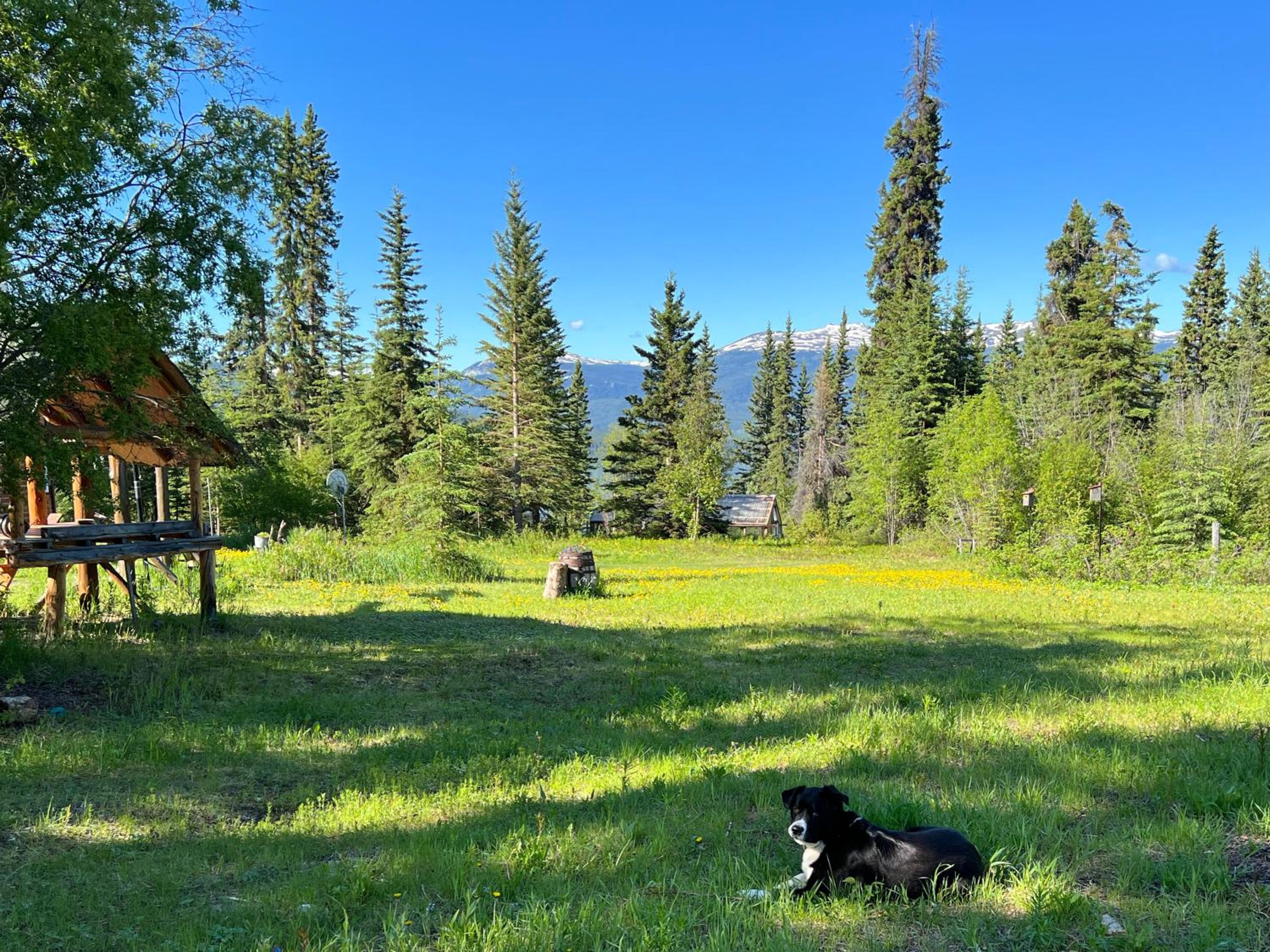 Little Atlin Lodge