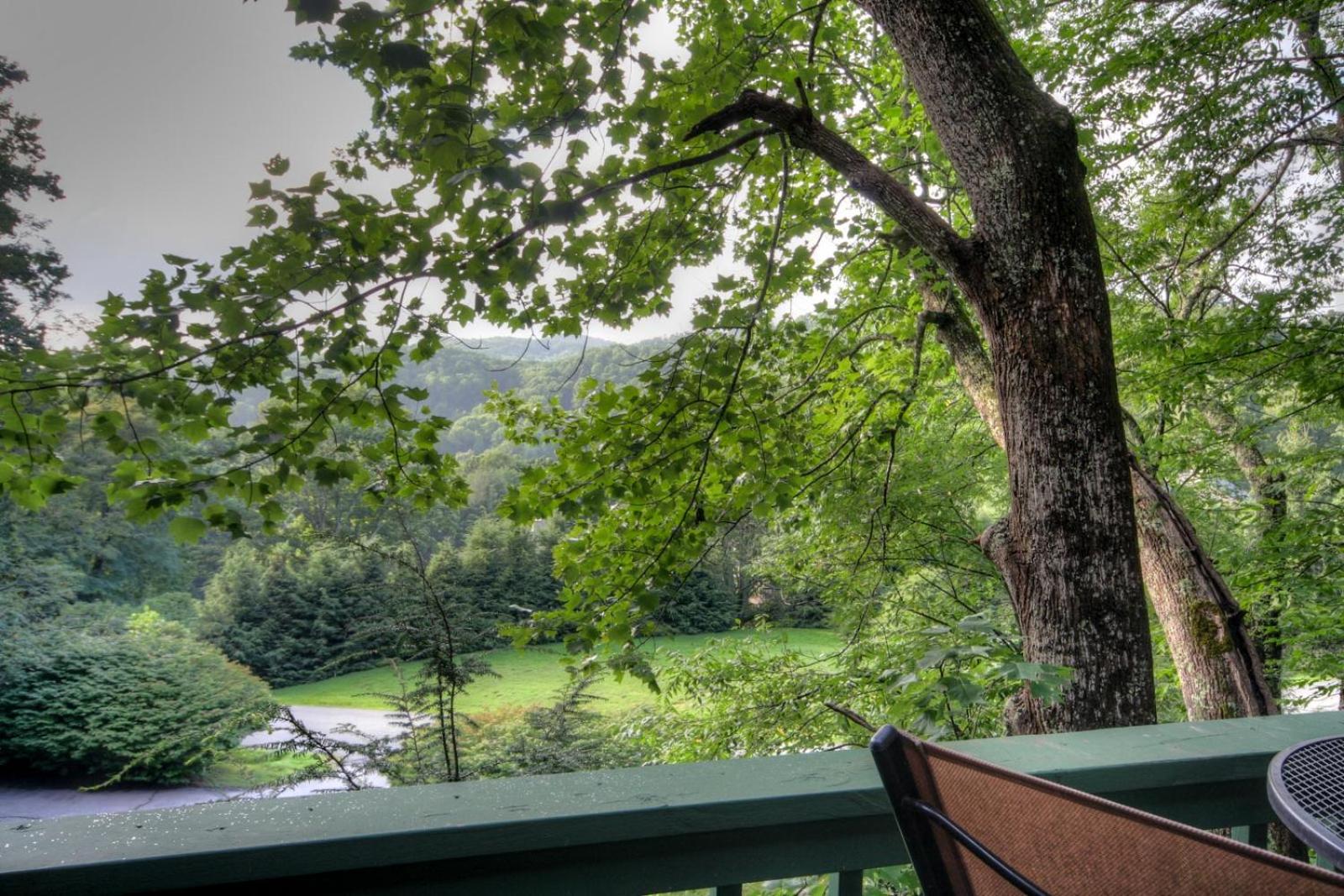 Algonquin Cottage