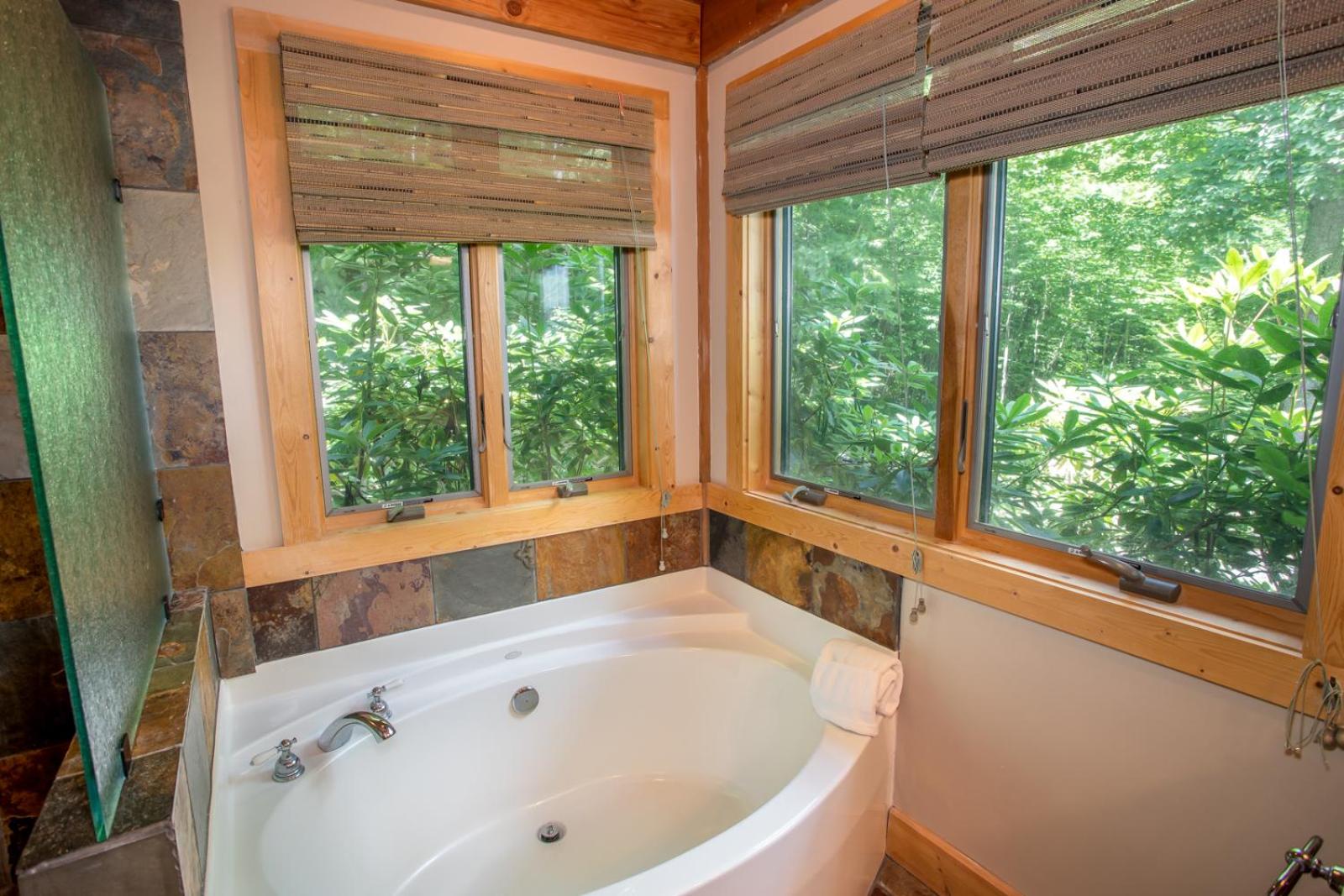 Bald Mountain Lodge view 4