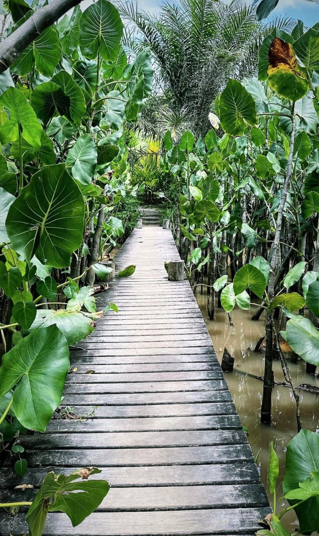 Barra Grande, Maraú, Casa 5