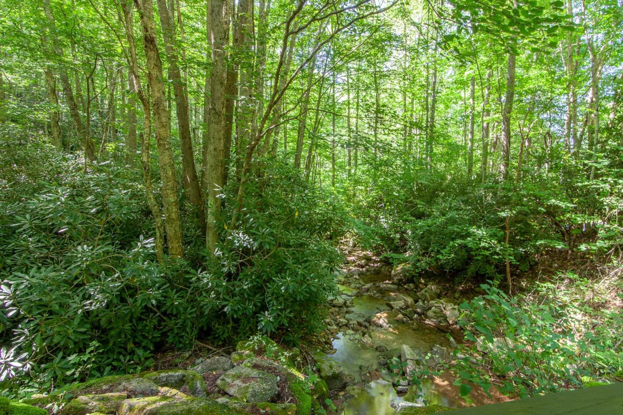 Chestnut Falls
