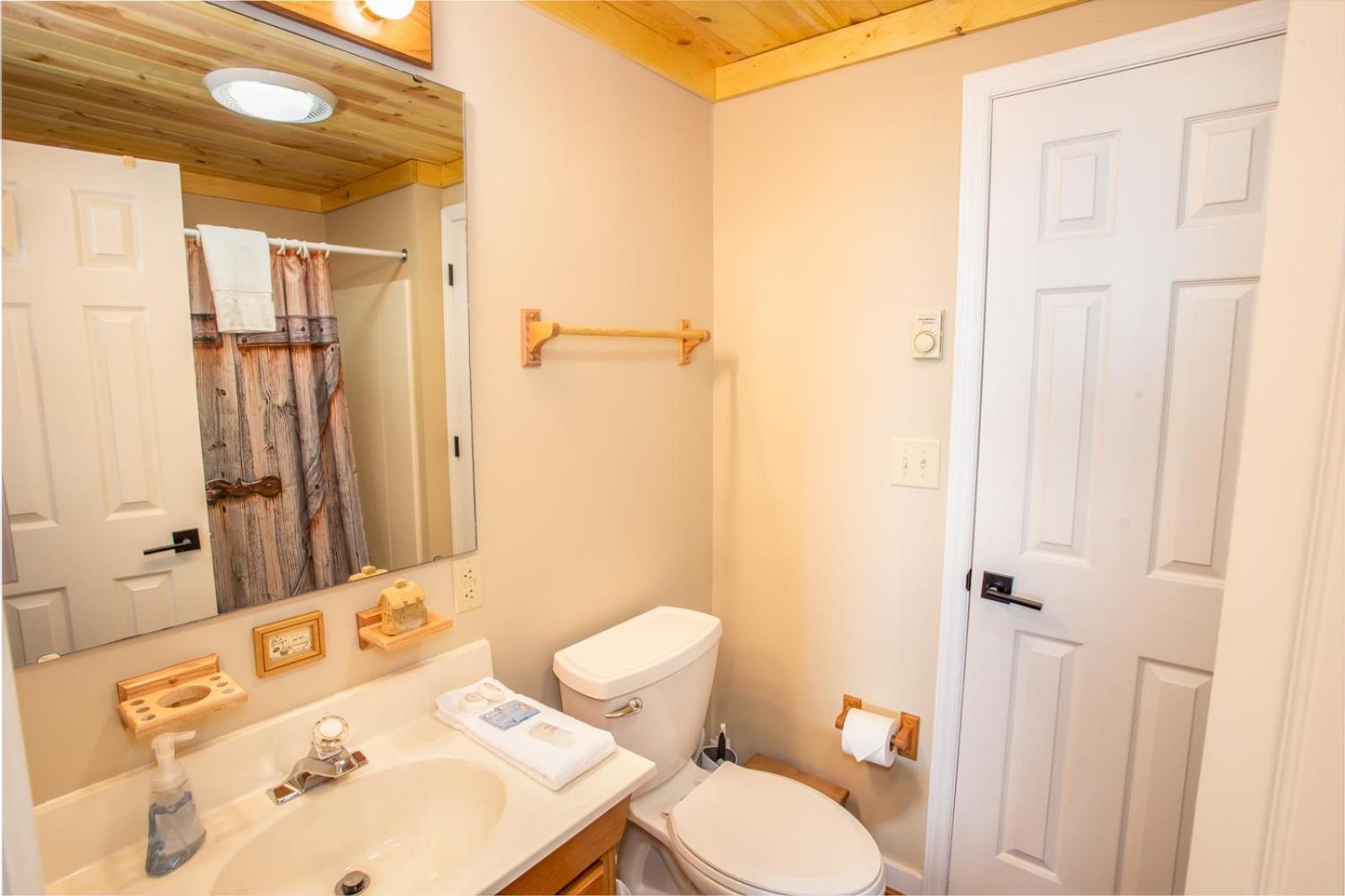 Mountain Remedy