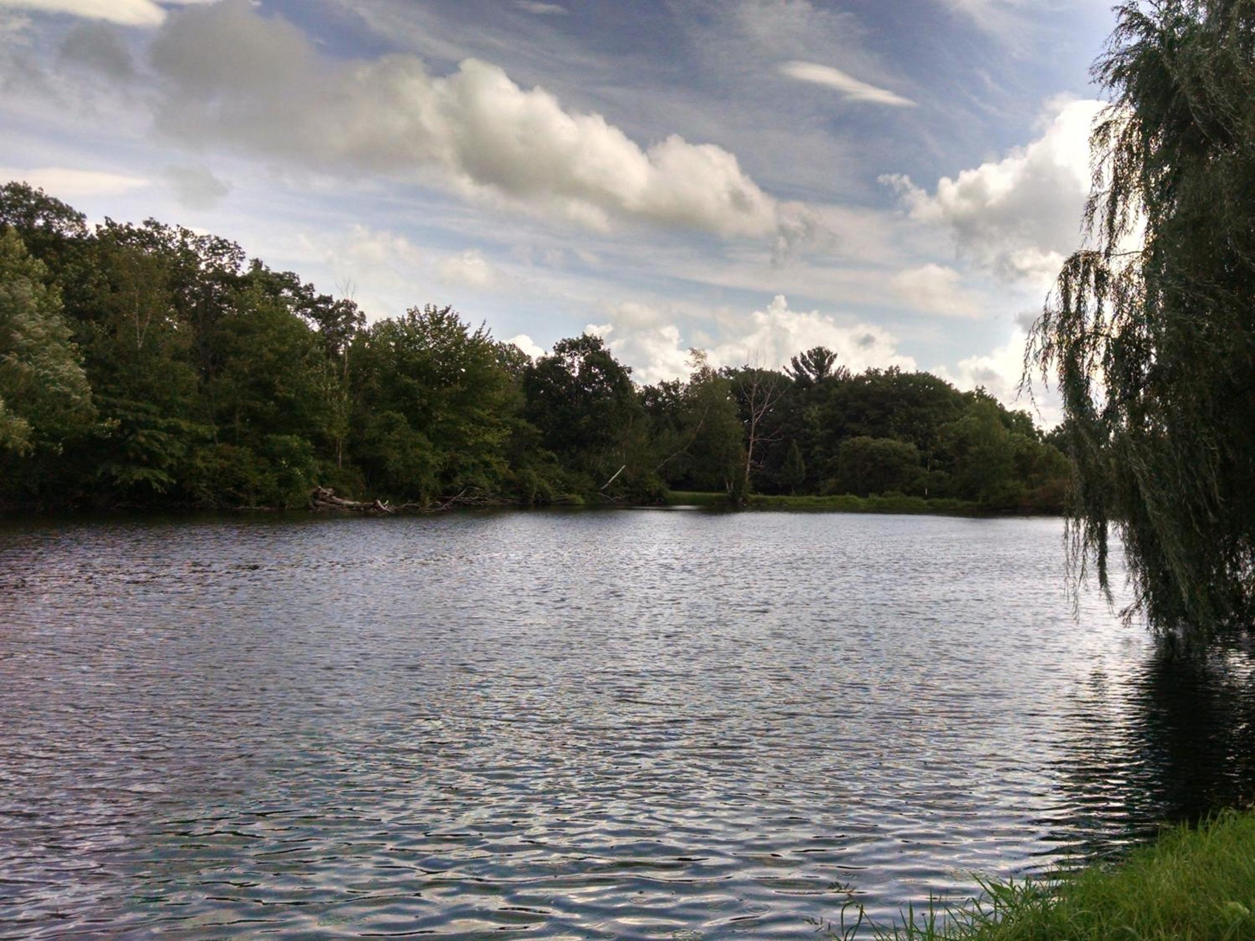 Photo 11