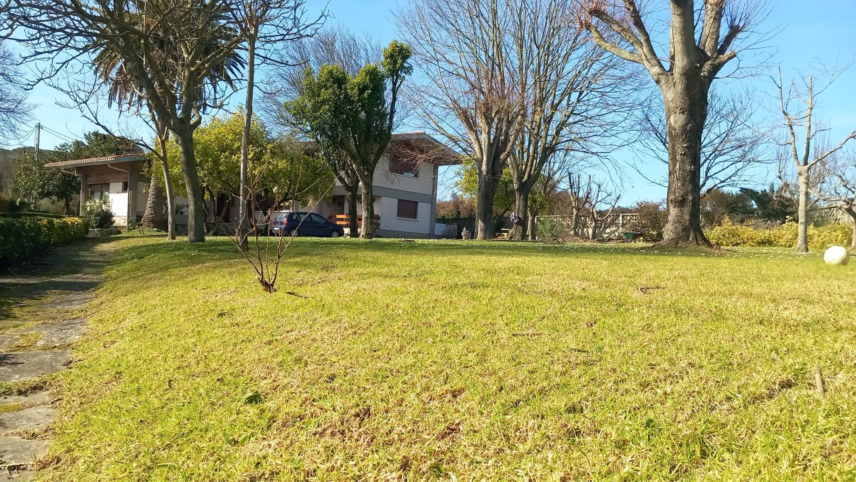 Photo 42