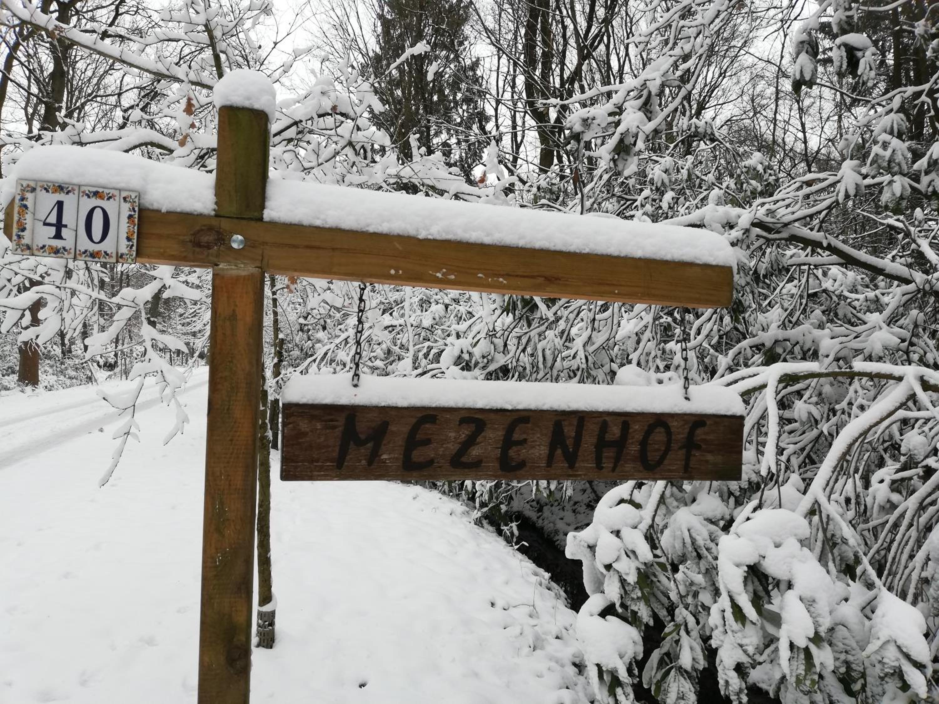 Mezenhof