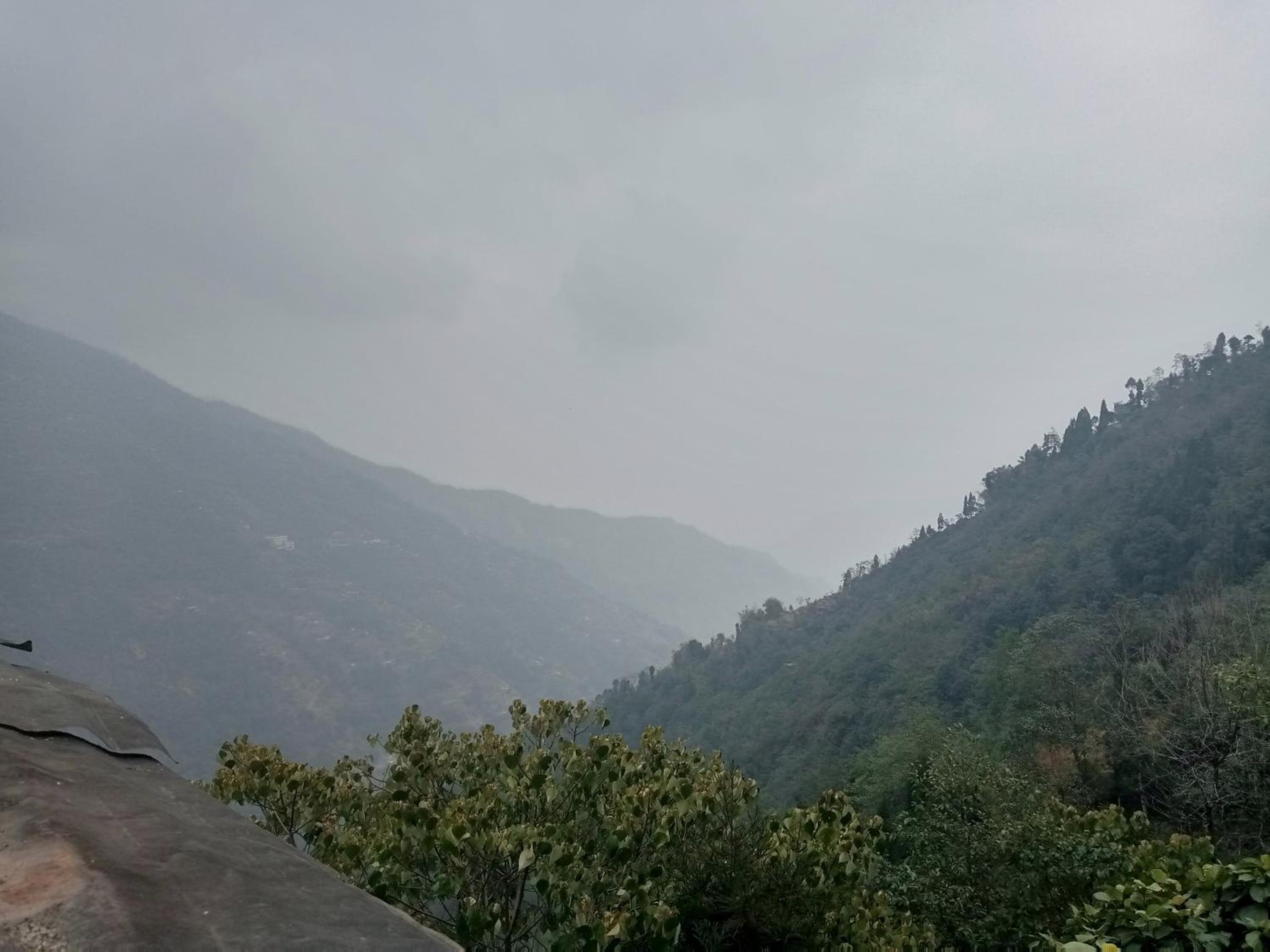 SILENT AM HOMESTAY view 3