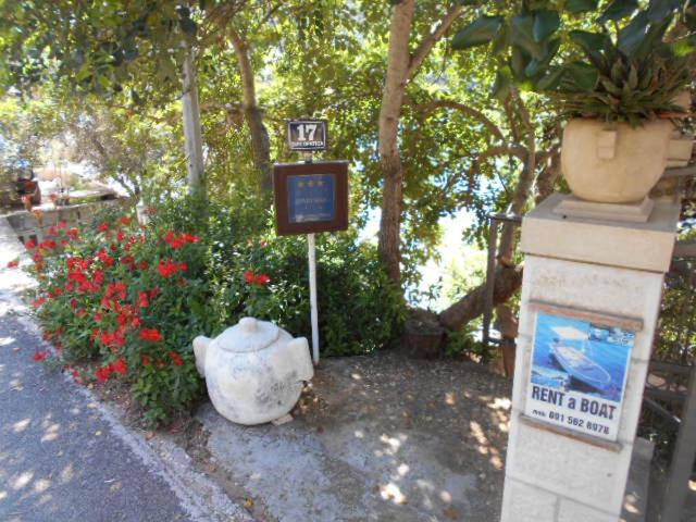 Photo 43