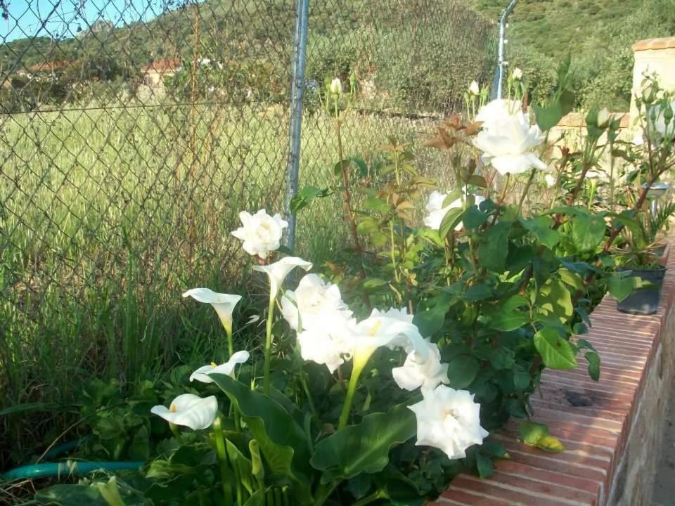 Photo 71